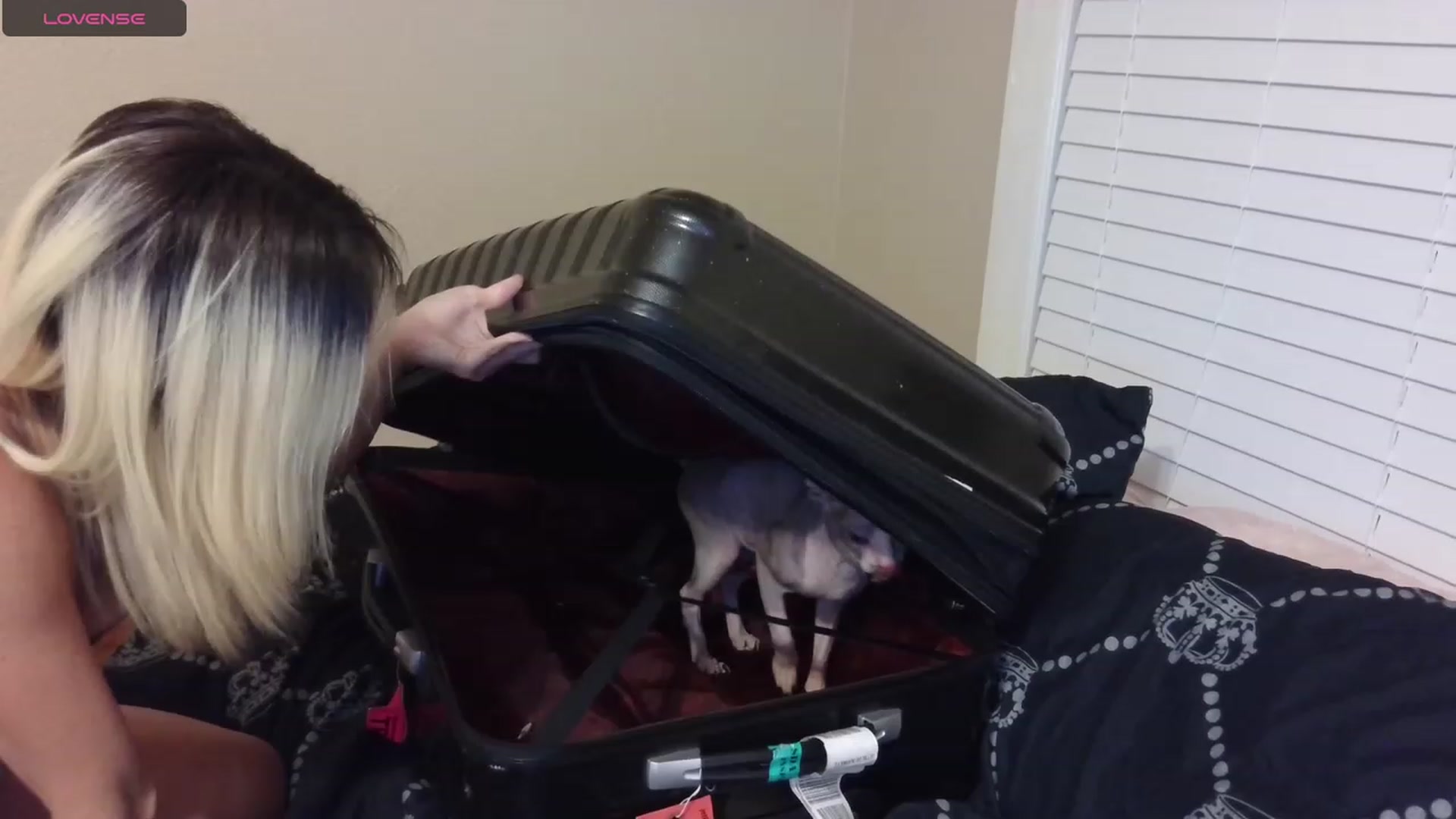 Gallery image thumbnail from HollyHanna's myfreecams stream on, 08/31/2023, 01:35 image 6 of 20