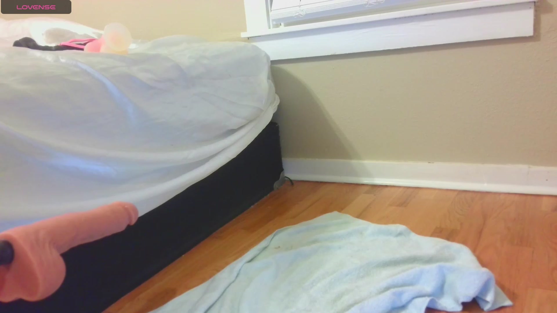 Gallery image thumbnail from HollyHanna's myfreecams stream on, 09/16/2023, 01:45 image 16 of 20