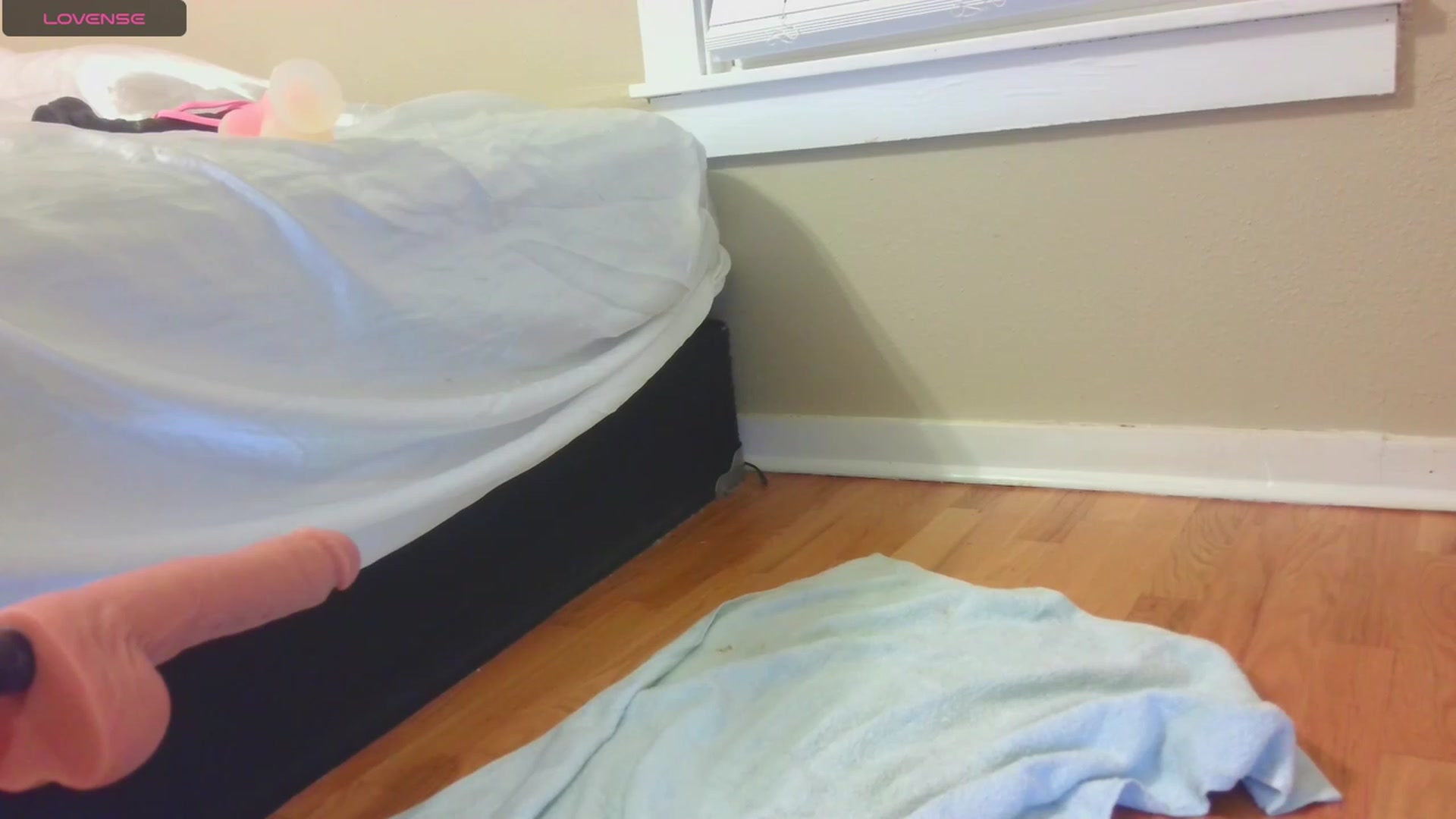 Gallery image thumbnail from HollyHanna's myfreecams stream on, 09/16/2023, 01:45 image 19 of 20