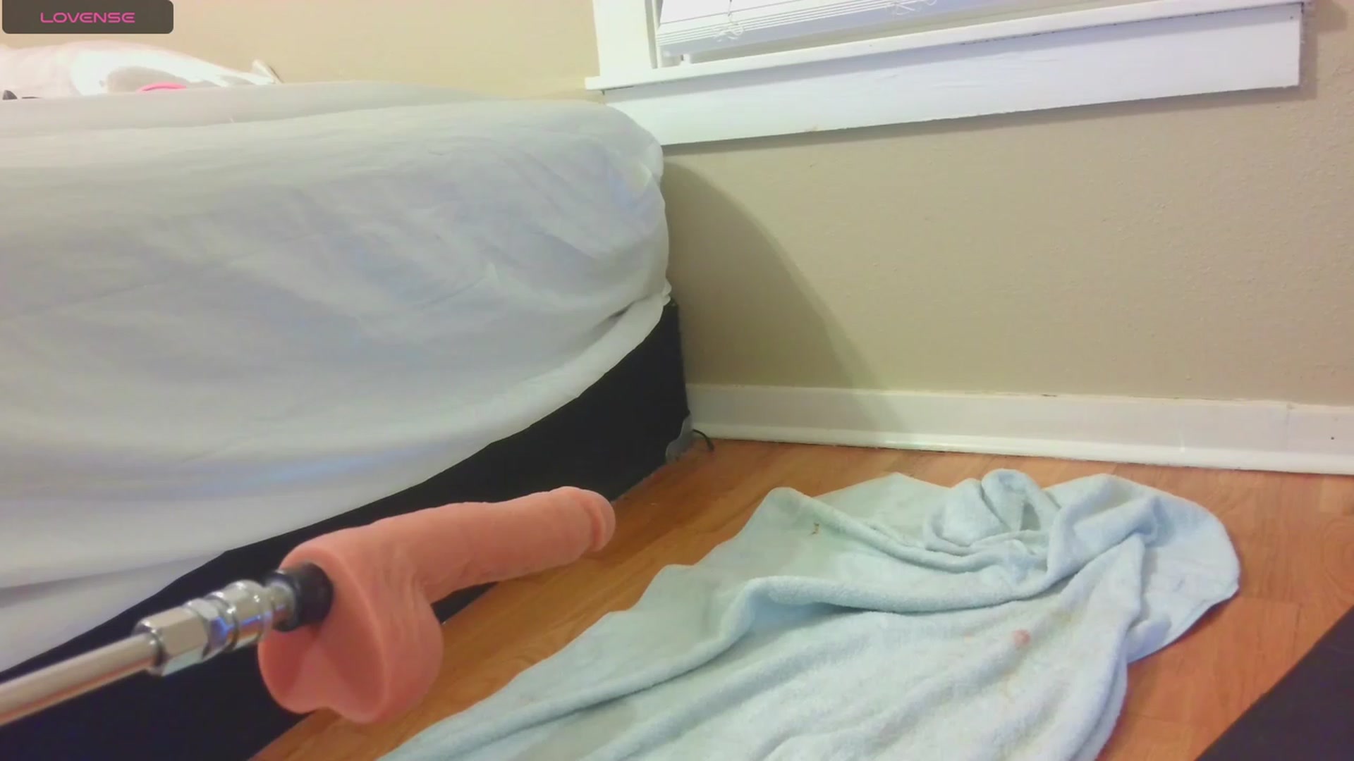 Gallery image thumbnail from HollyHanna's myfreecams stream on, 09/16/2023, 01:45 image 7 of 20