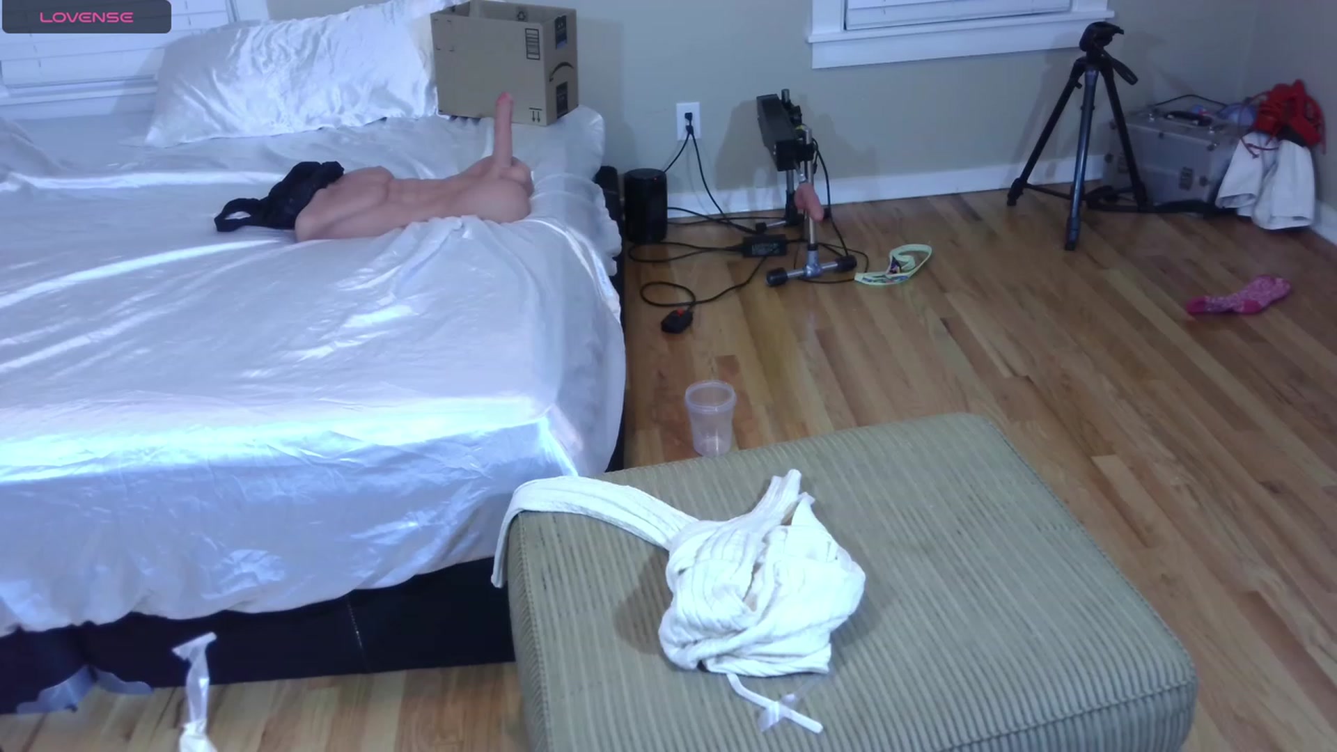 Gallery image thumbnail from HollyHanna's myfreecams stream on, 10/20/2023, 03:27 image 1 of 20