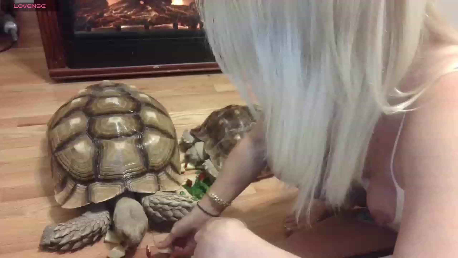 Gallery image thumbnail from HollyHanna's myfreecams stream on, 11/25/2023, 04:00 image 3 of 20
