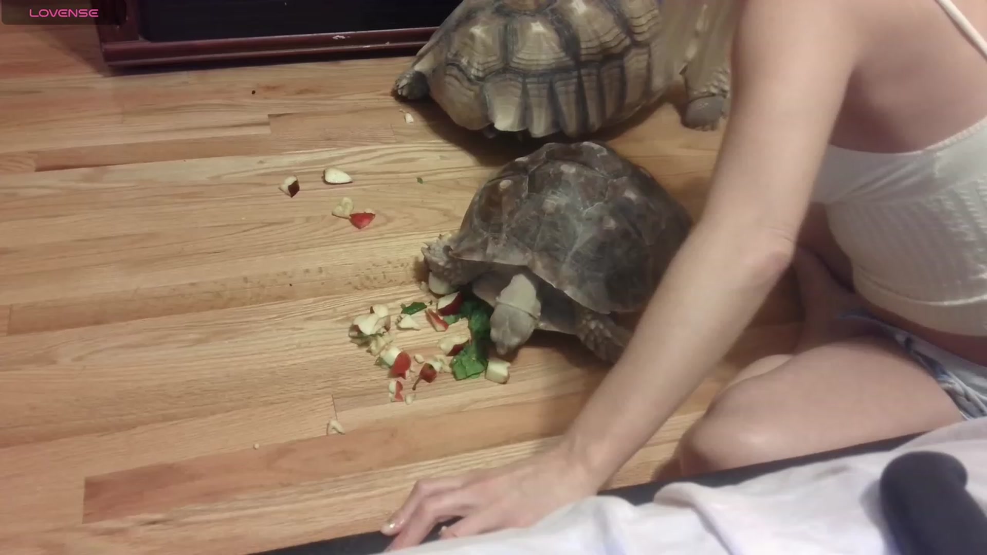 Gallery image thumbnail from HollyHanna's myfreecams stream on, 11/25/2023, 04:00 image 8 of 20