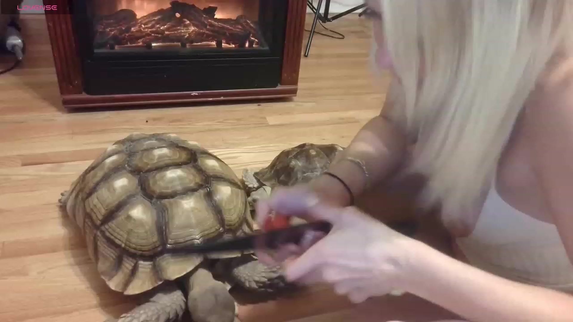 Gallery image thumbnail from HollyHanna's myfreecams stream on, 11/25/2023, 04:00 image 5 of 20