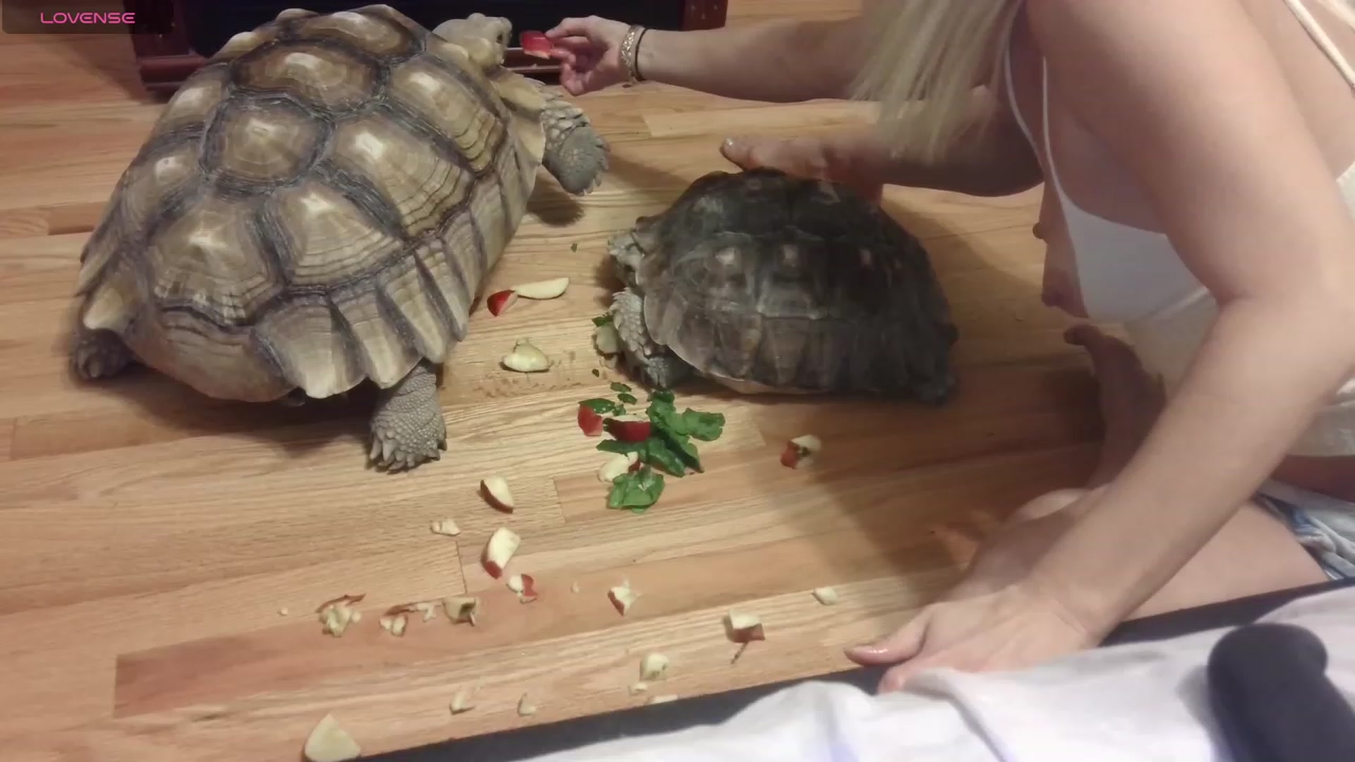 Gallery image thumbnail from HollyHanna's myfreecams stream on, 11/25/2023, 04:00 image 7 of 20