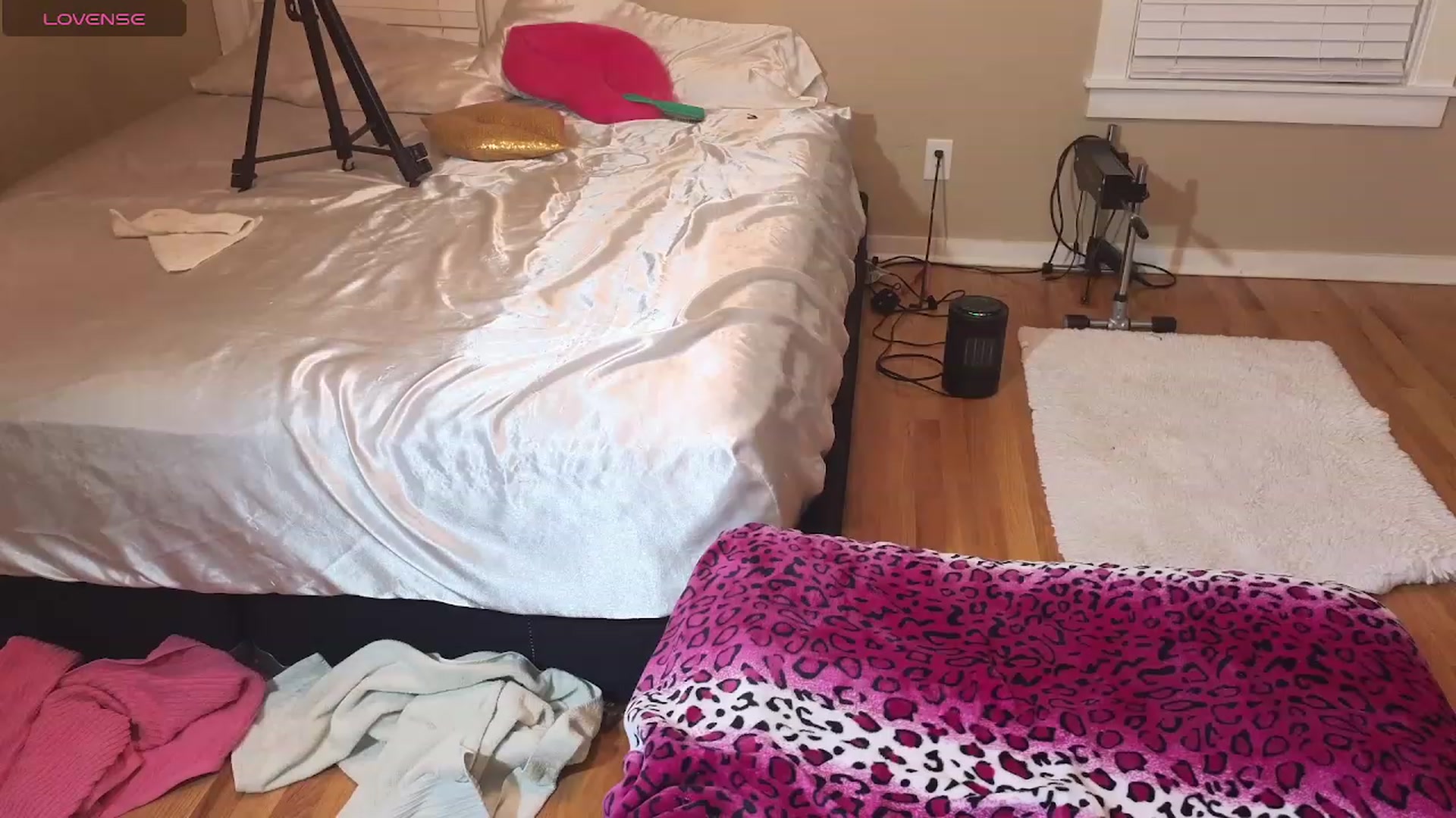 Gallery image thumbnail from HollyHanna's myfreecams stream on, 12/15/2023, 03:21 image 17 of 20