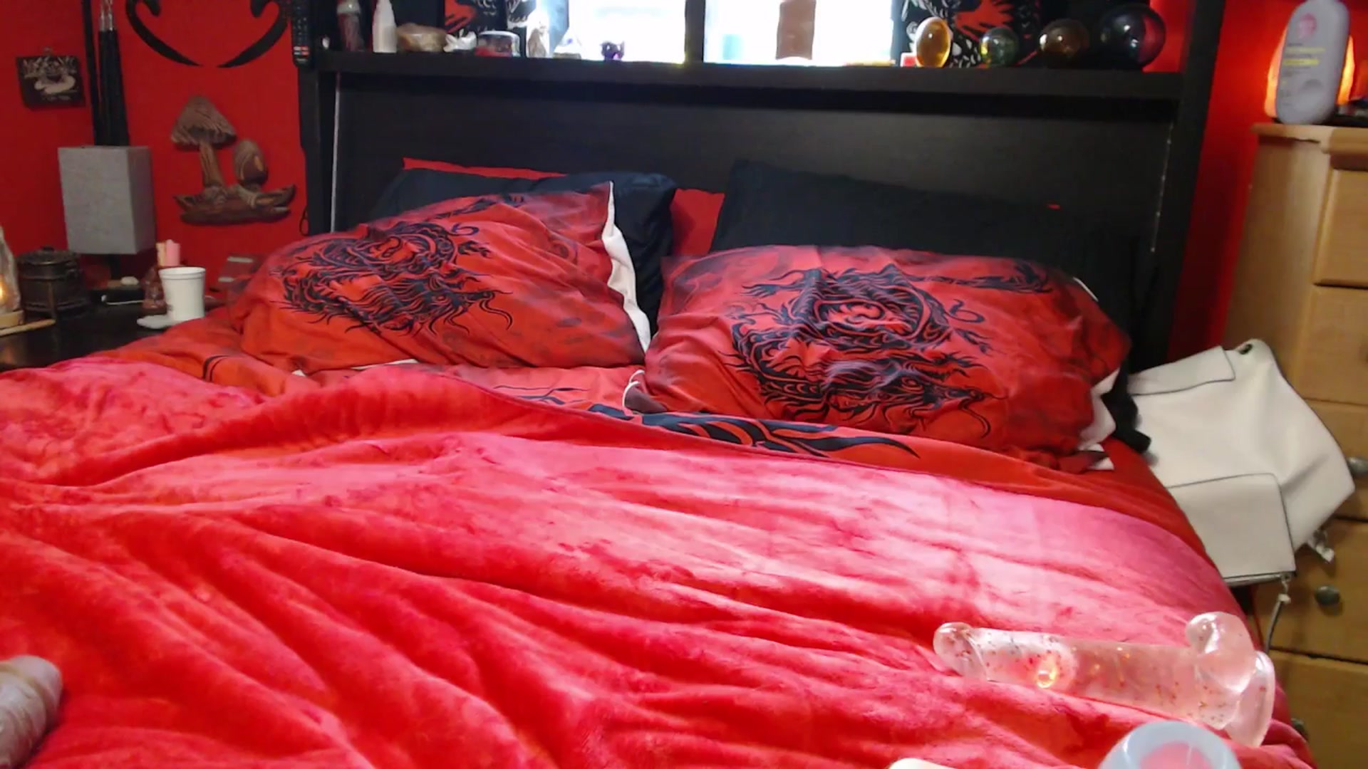 Gallery image thumbnail from HollyHanna's myfreecams stream on, 03/02/2025, 23:25 image 7 of 20