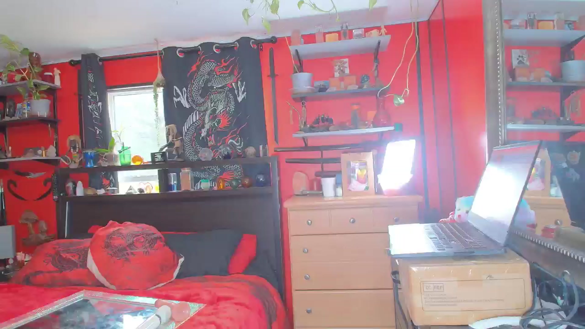 Gallery image thumbnail from HollyHanna's myfreecams stream on, 05/05/2025, 19:55 image 14 of 20