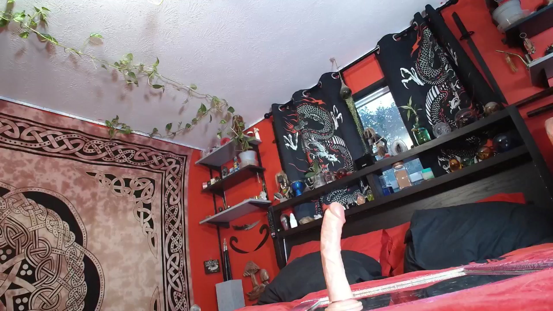 Gallery image thumbnail from HollyHanna's myfreecams stream on, 06/24/2025, 02:23 image 8 of 20