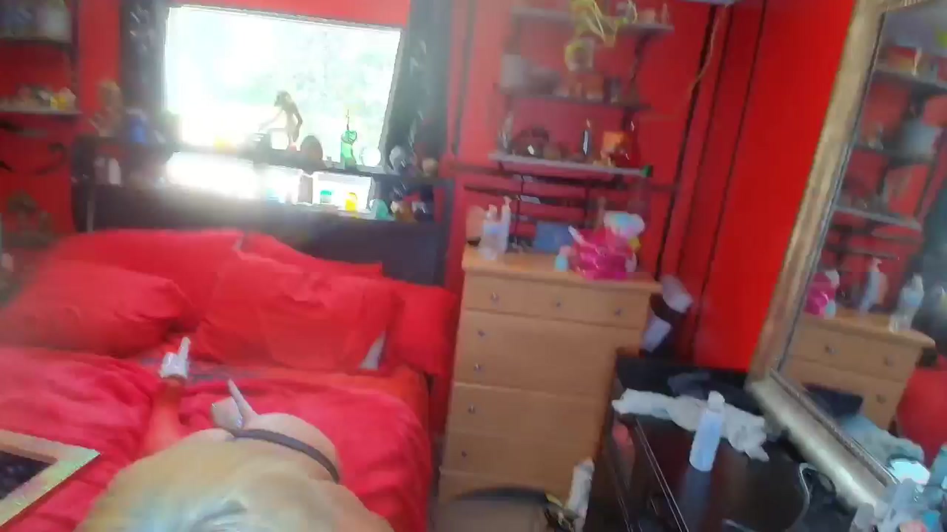 Gallery image thumbnail from HollyHanna's myfreecams stream on, 08/12/2025, 18:39 image 9 of 20