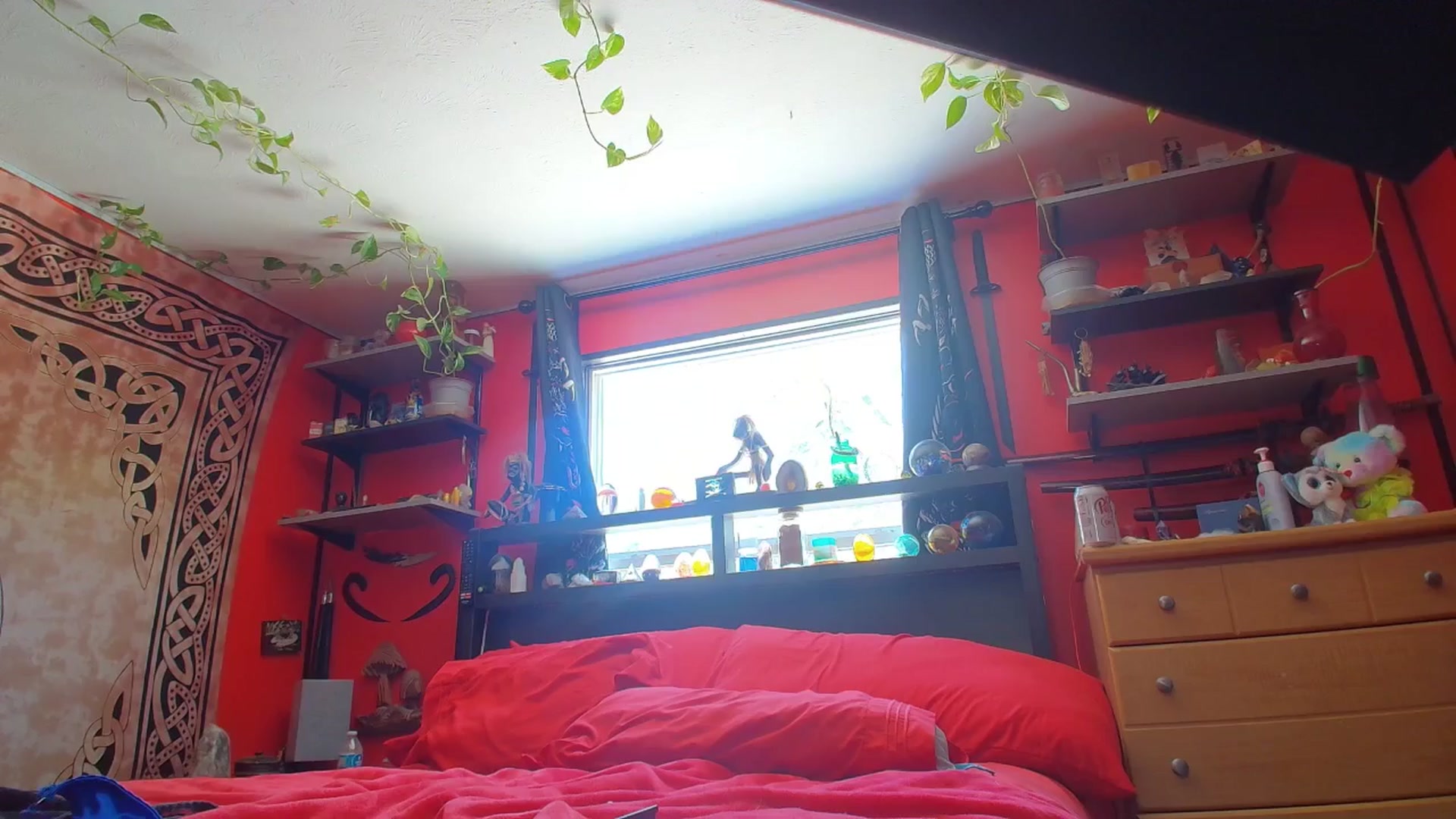 Gallery image thumbnail from HollyHanna's myfreecams stream on, 09/12/2025, 20:21 image 1 of 20