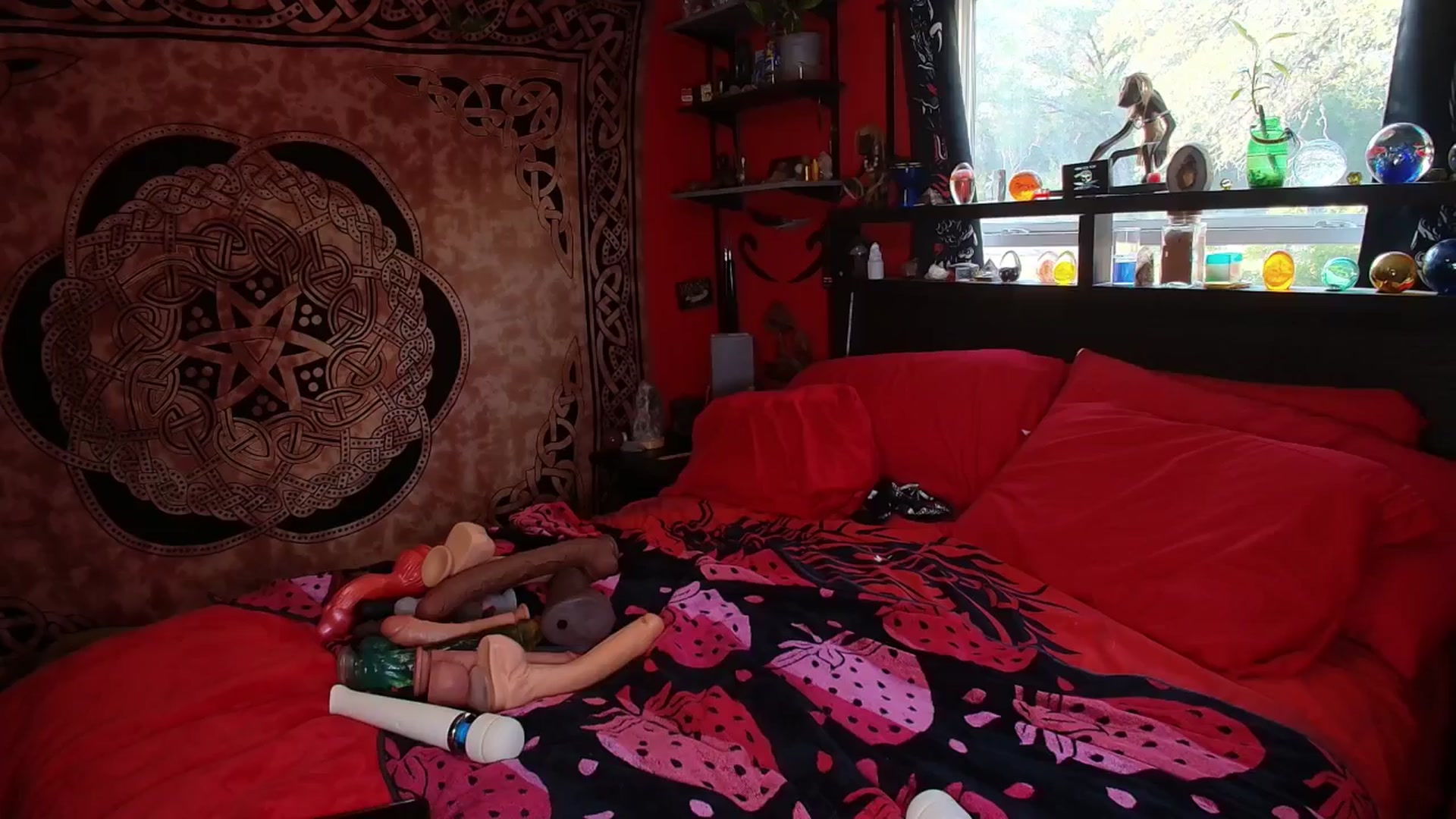 Gallery image thumbnail from HollyHanna's myfreecams stream on, 09/13/2025, 23:38 image 2 of 20