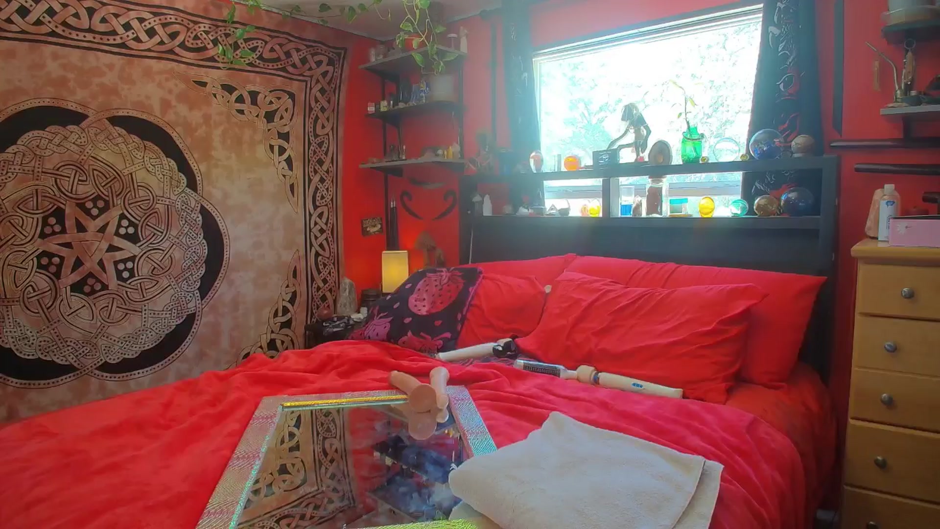 Gallery image thumbnail from HollyHanna's myfreecams stream on, 09/24/2025, 21:32 image 3 of 20