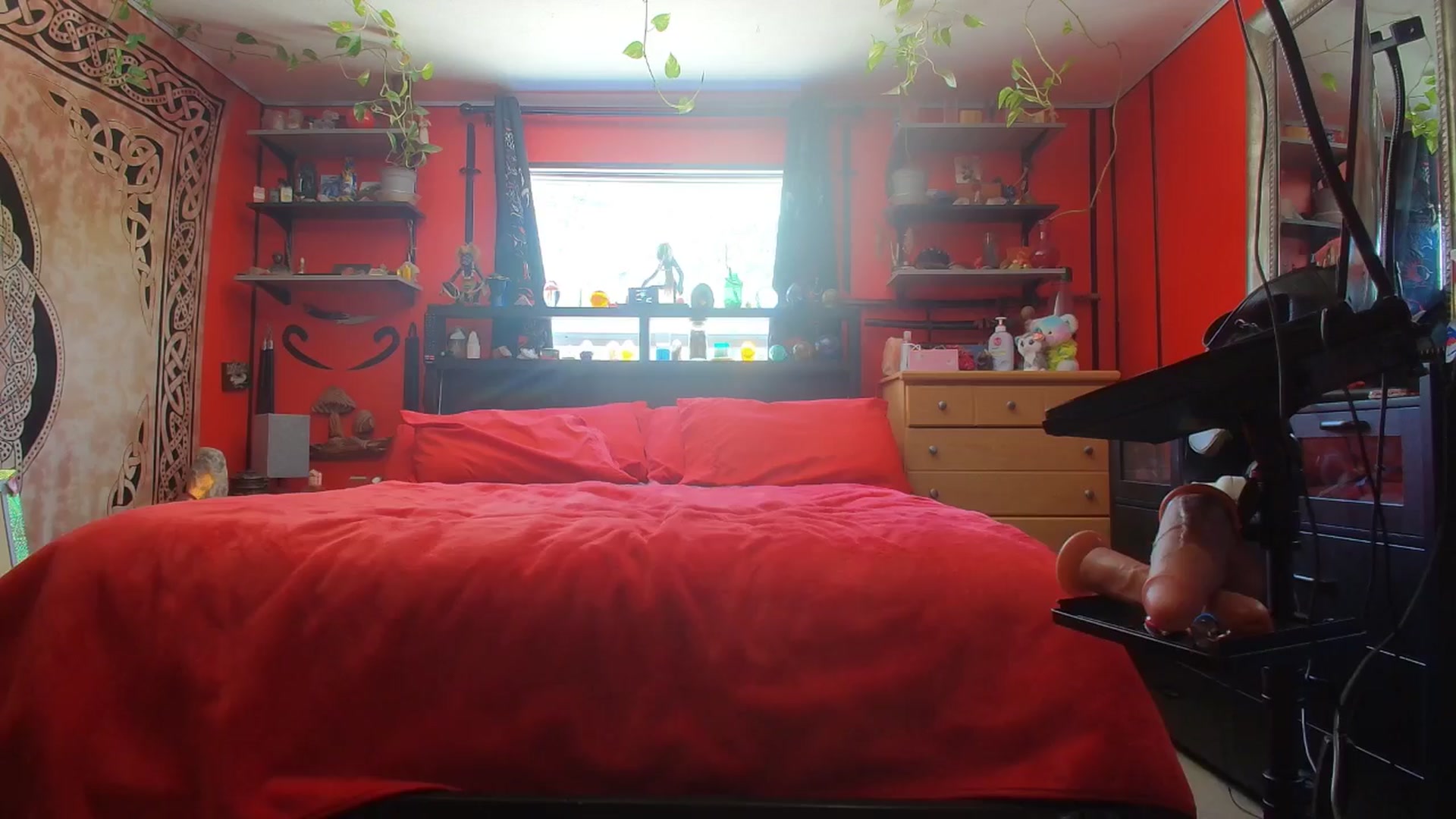 Gallery image thumbnail from HollyHanna's myfreecams stream on, 09/25/2025, 18:39 image 13 of 20