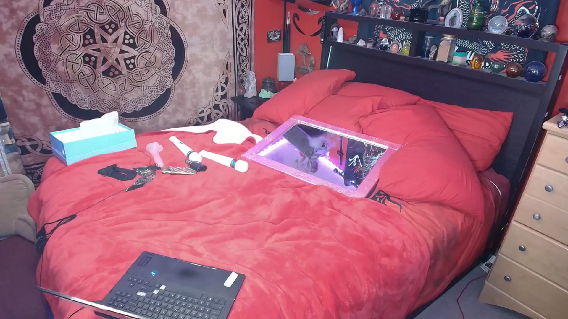 Gallery image thumbnail from HollyHanna's myfreecams stream on, 10/10/2025, 03:40 image 16 of 20