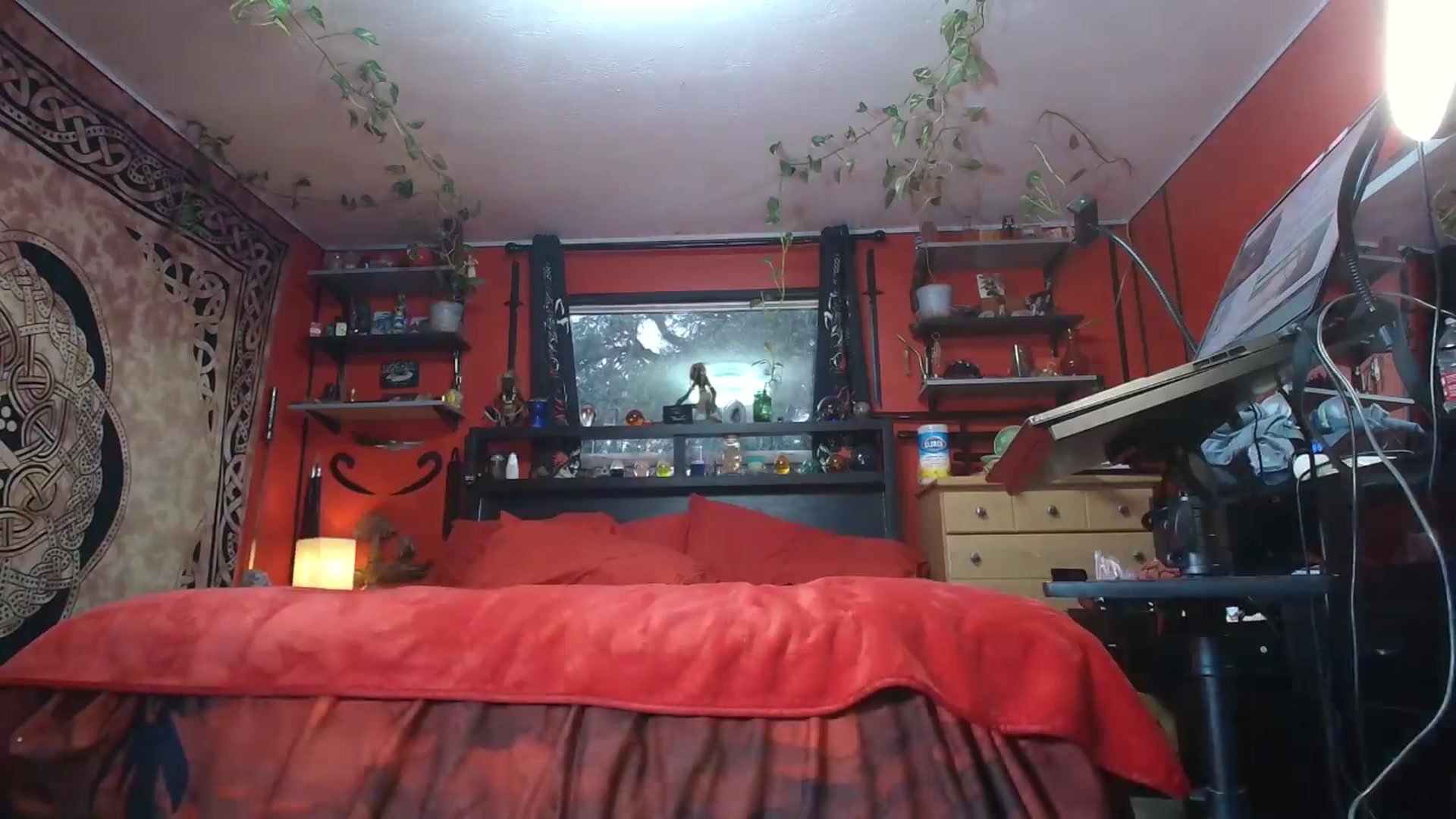 Gallery image thumbnail from HollyHanna's myfreecams stream on, 10/31/2025, 24:01 image 11 of 20