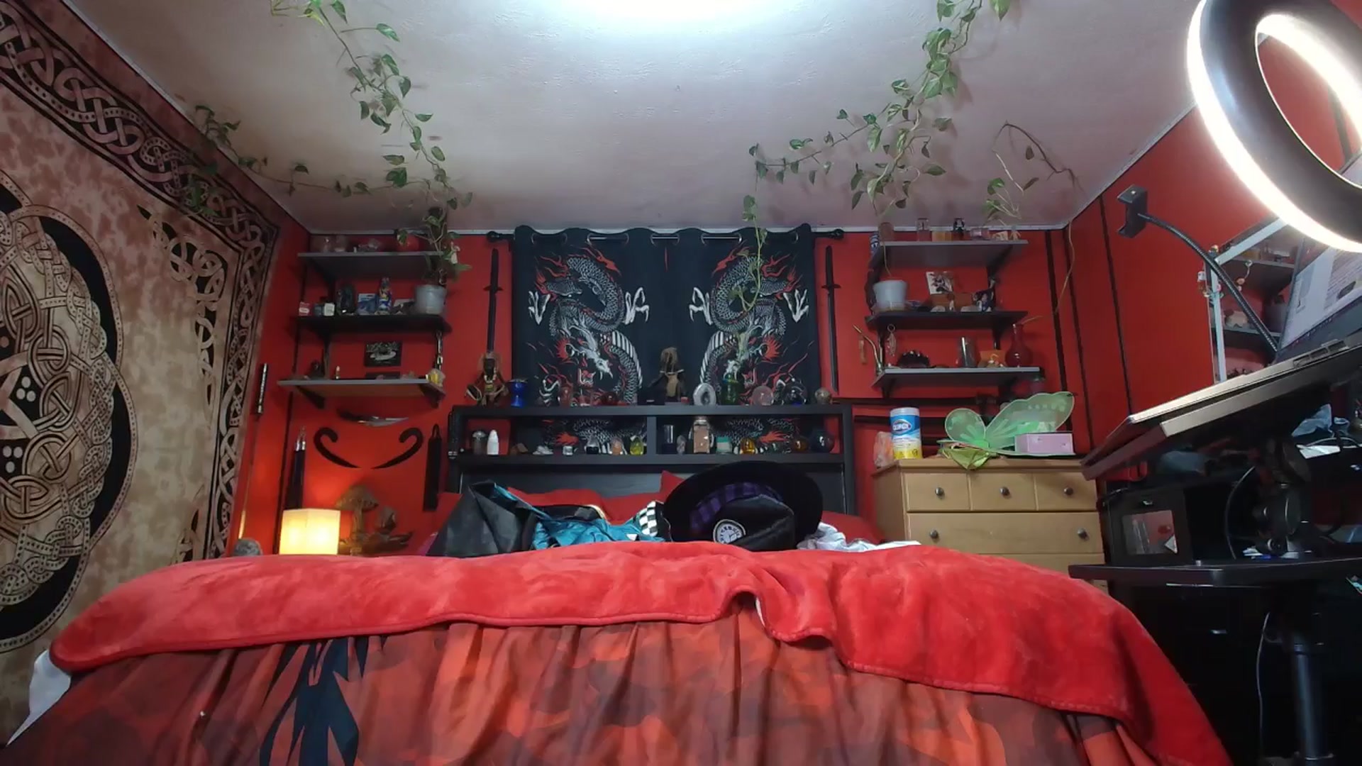 Gallery image thumbnail from HollyHanna's myfreecams stream on, 10/31/2025, 03:41 image 13 of 20