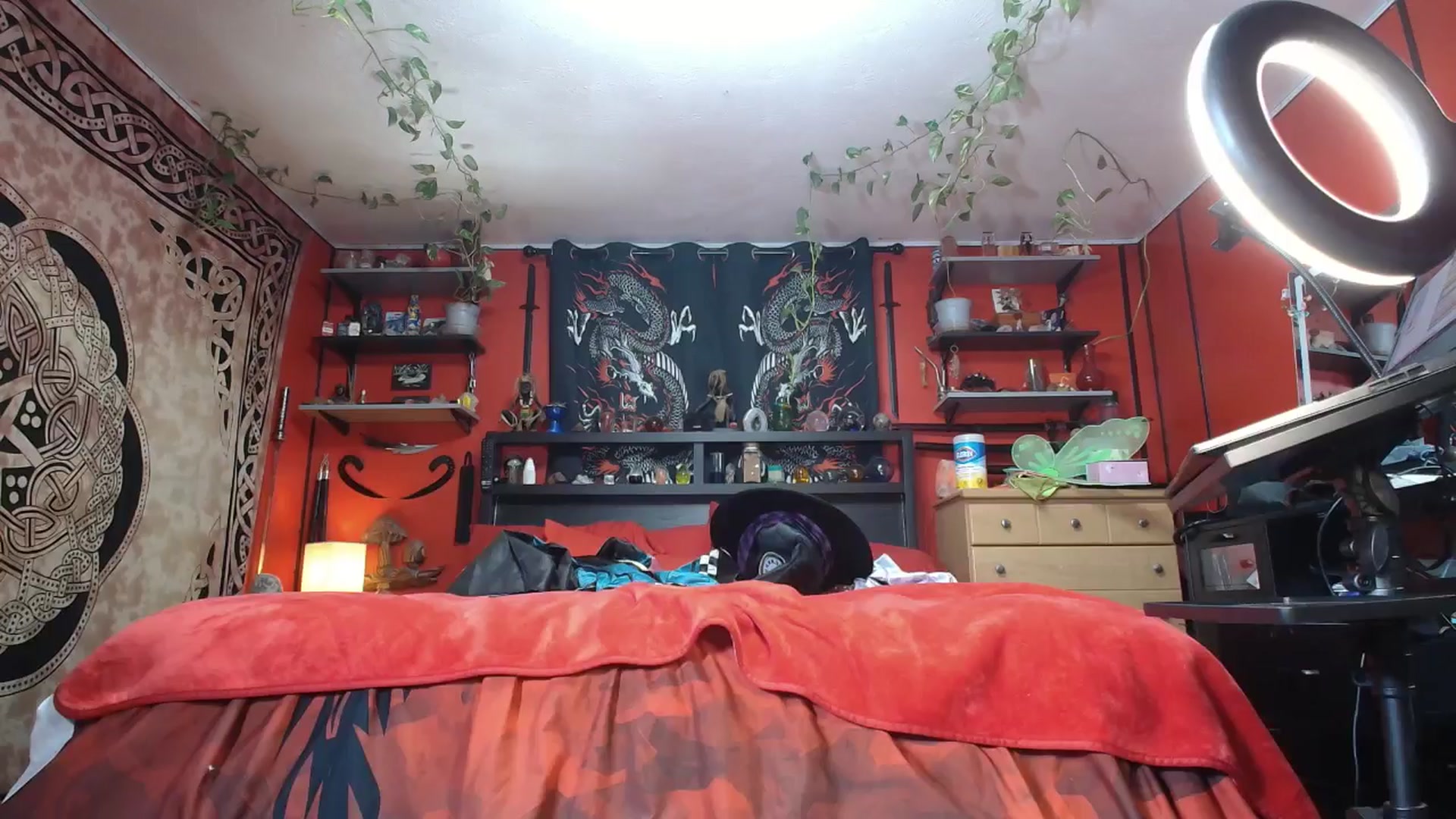 Gallery image thumbnail from HollyHanna's myfreecams stream on, 10/31/2025, 03:41 image 19 of 20