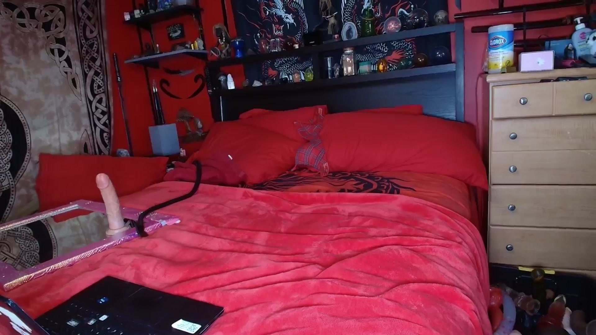 Gallery image thumbnail from HollyHanna's myfreecams stream on, 11/04/2025, 01:59 image 16 of 20