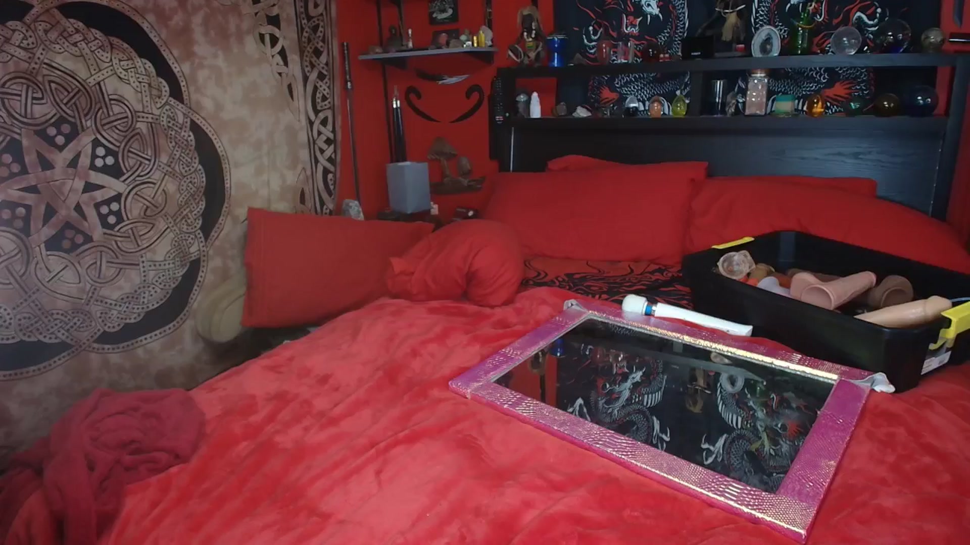 Gallery image thumbnail from HollyHanna's myfreecams stream on, 11/04/2025, 06:21 image 13 of 20