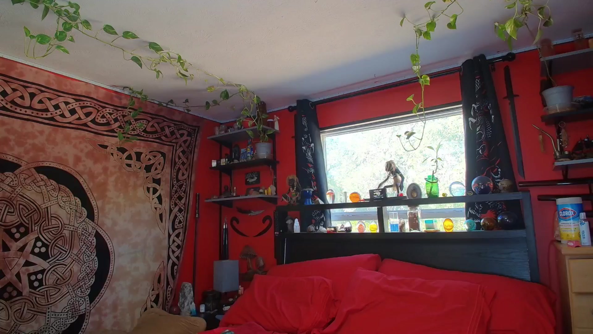 Gallery image thumbnail from HollyHanna's myfreecams stream on, 11/05/2025, 21:45 image 18 of 20