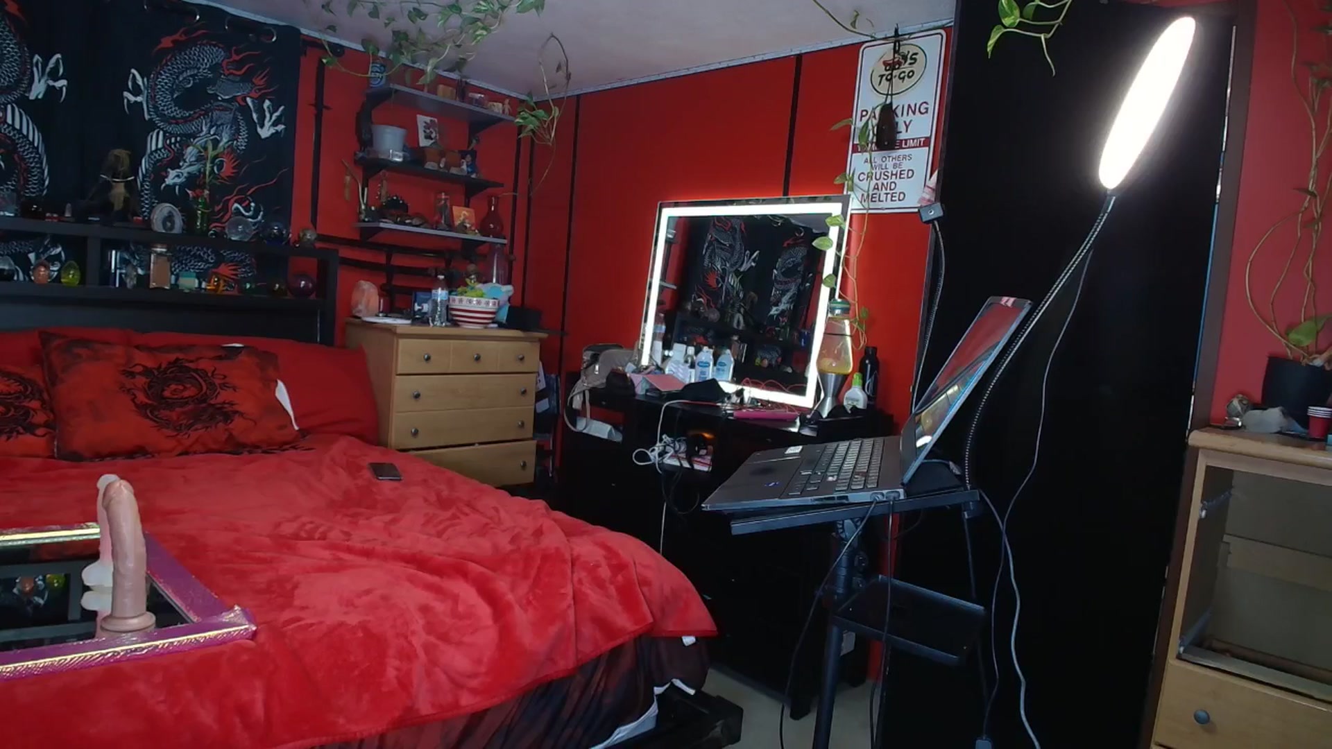 Gallery image thumbnail from HollyHanna's myfreecams stream on, 11/23/2025, 24:36 image 20 of 20
