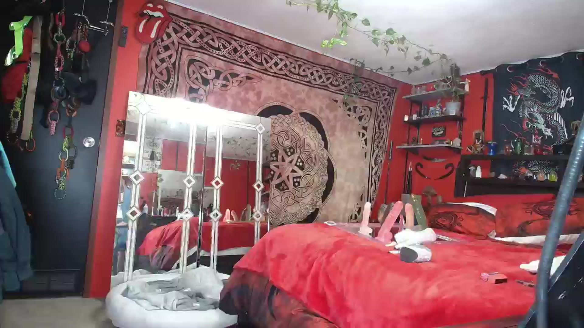 Gallery image thumbnail from HollyHanna's myfreecams stream on, 11/26/2025, 24:31 image 19 of 20