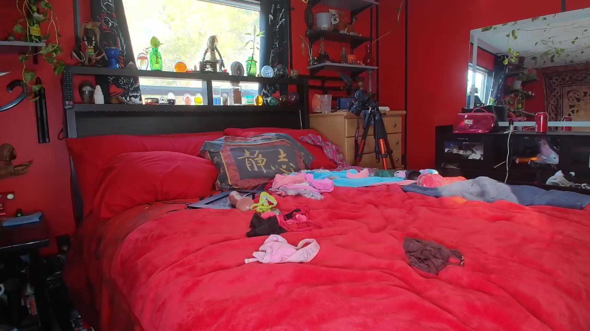 Gallery image thumbnail from HollyHanna's myfreecams stream on, 12/28/2025, 22:24 image 17 of 20