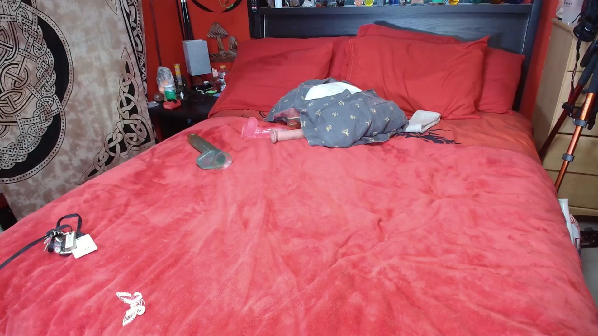 Gallery image thumbnail from HollyHanna's myfreecams stream on, 12/30/2025, 24:01 image 5 of 20