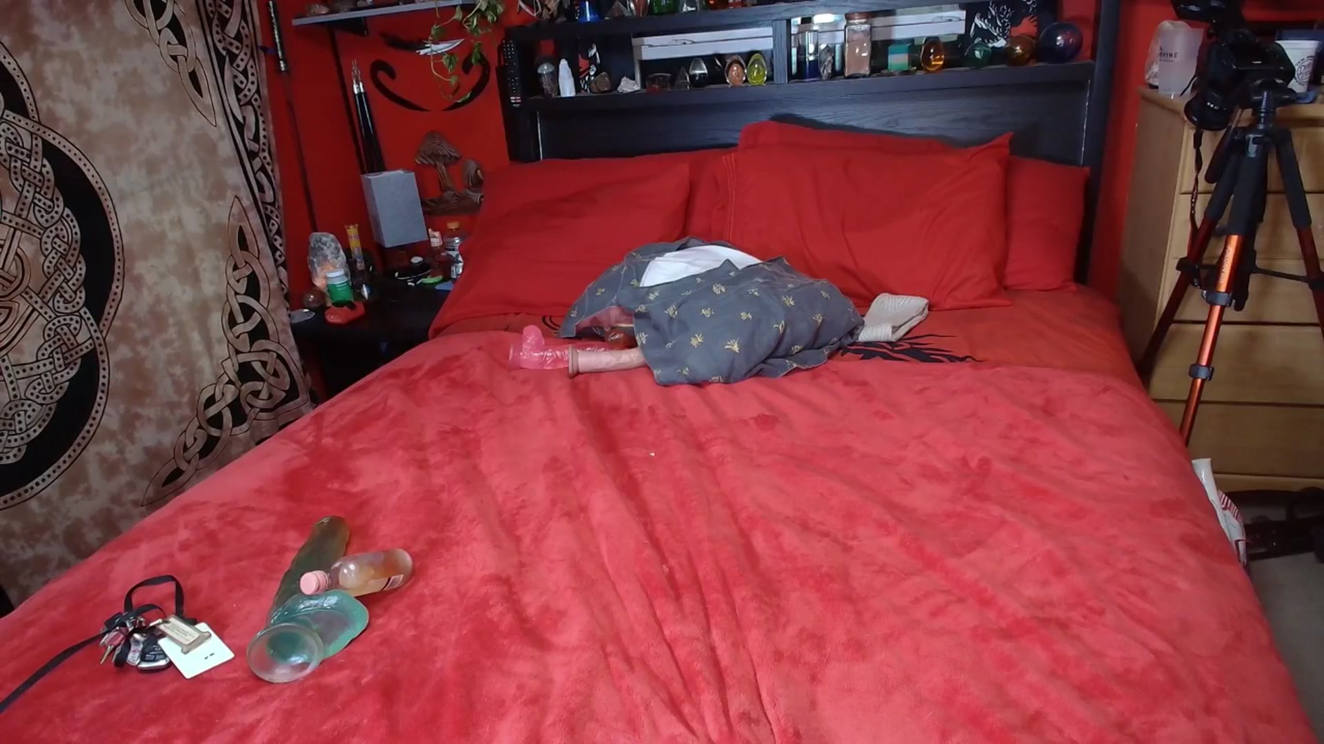 Gallery image thumbnail from HollyHanna's myfreecams stream on, 12/30/2025, 01:27 image 5 of 20