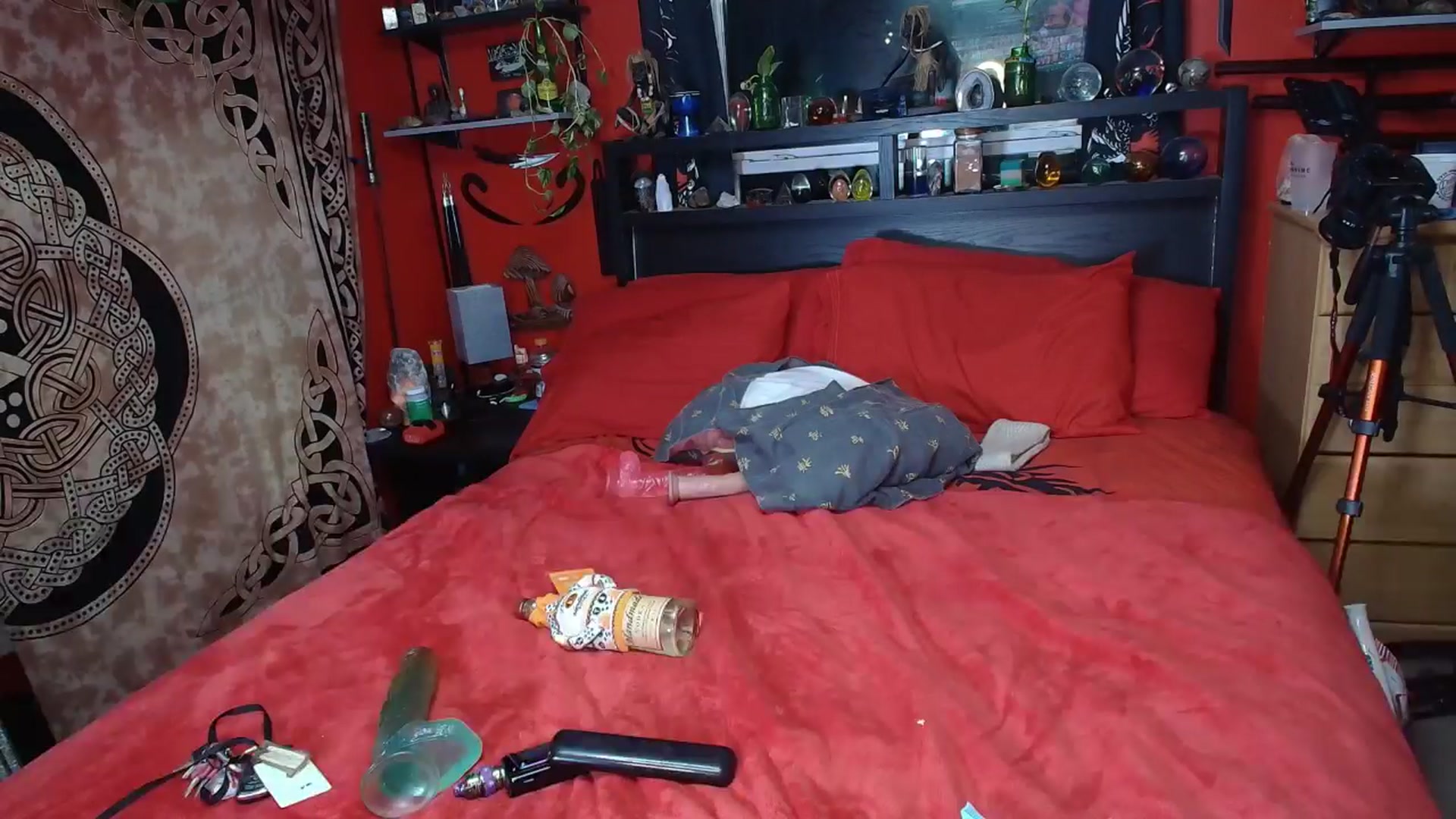 Gallery image thumbnail from HollyHanna's myfreecams stream on, 12/30/2025, 01:27 image 13 of 20
