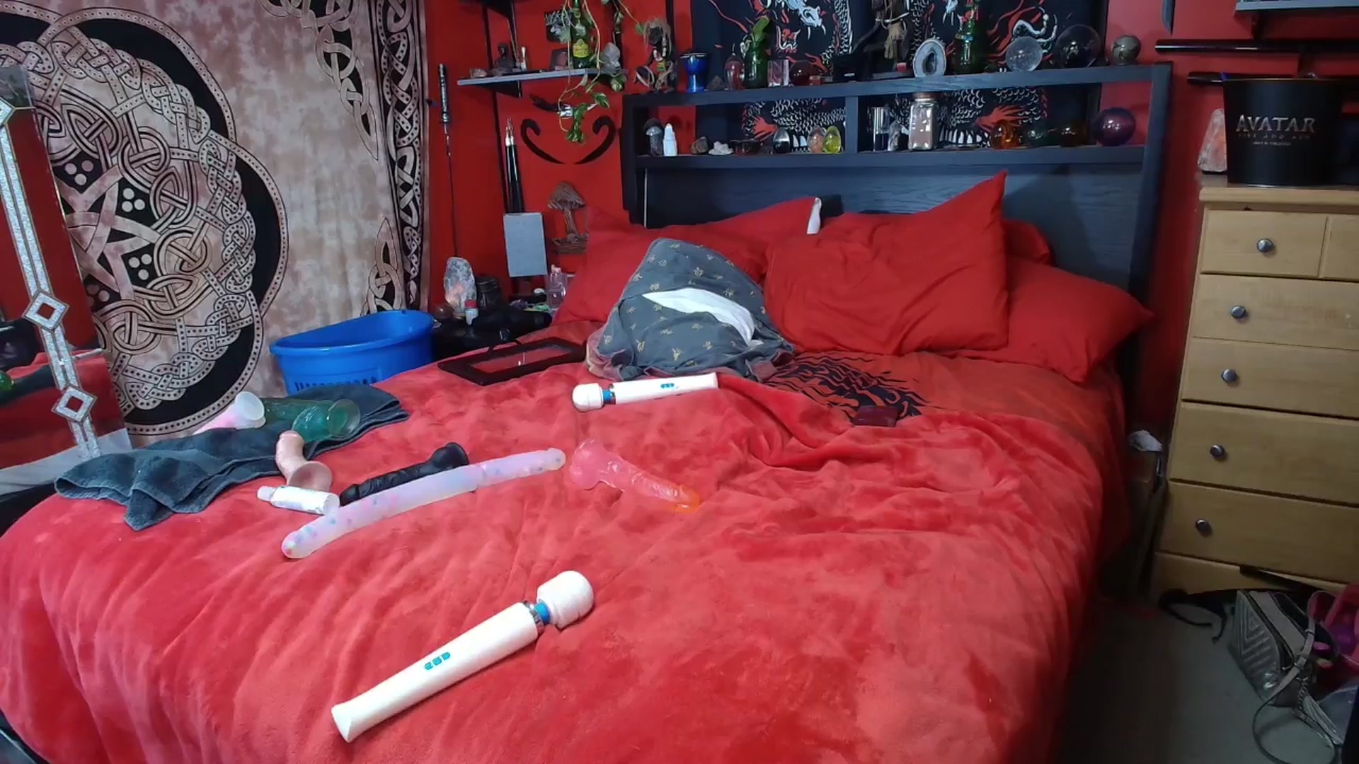 Gallery image thumbnail from HollyHanna's myfreecams stream on, 01/12/2026, 02:52 image 9 of 20