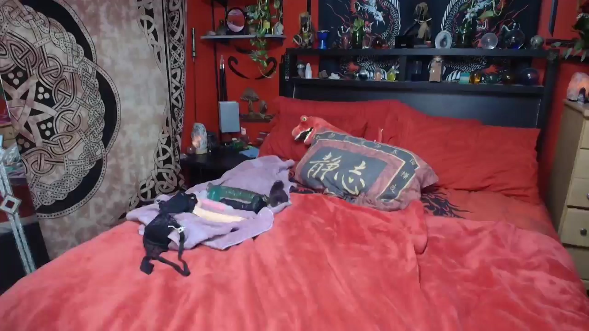 Gallery image thumbnail from HollyHanna's myfreecams stream on, 02/18/2026, 01:34 image 3 of 20