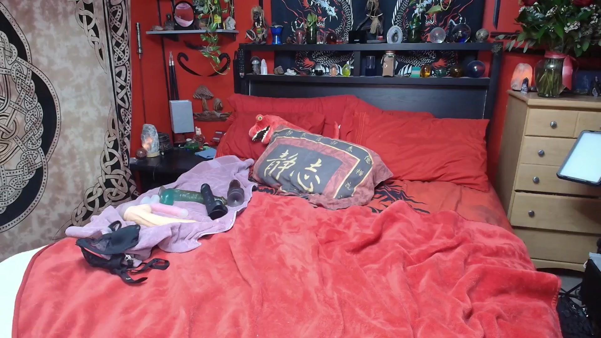 Gallery image thumbnail from HollyHanna's myfreecams stream on, 02/18/2026, 01:34 image 20 of 20
