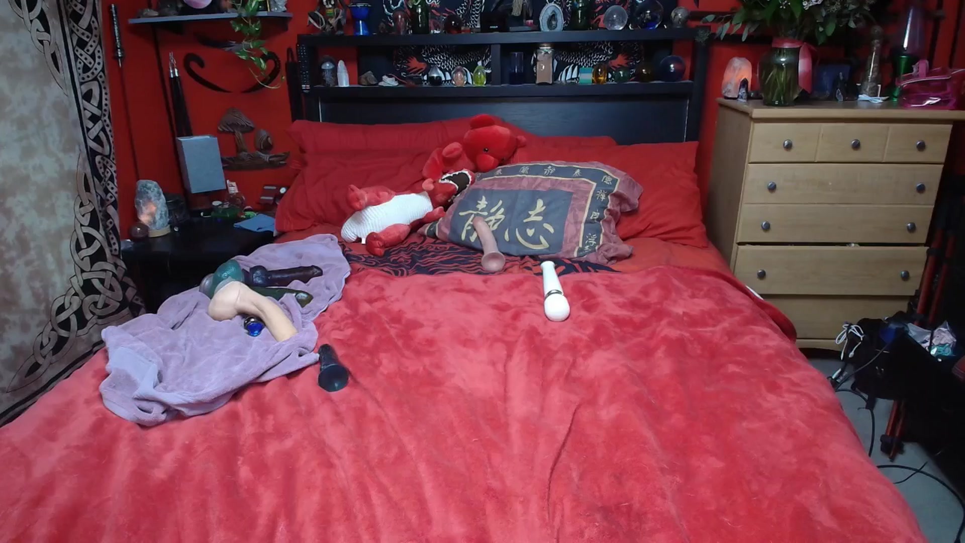 Gallery image thumbnail from HollyHanna's myfreecams stream on, 02/18/2026, 03:50 image 1 of 20
