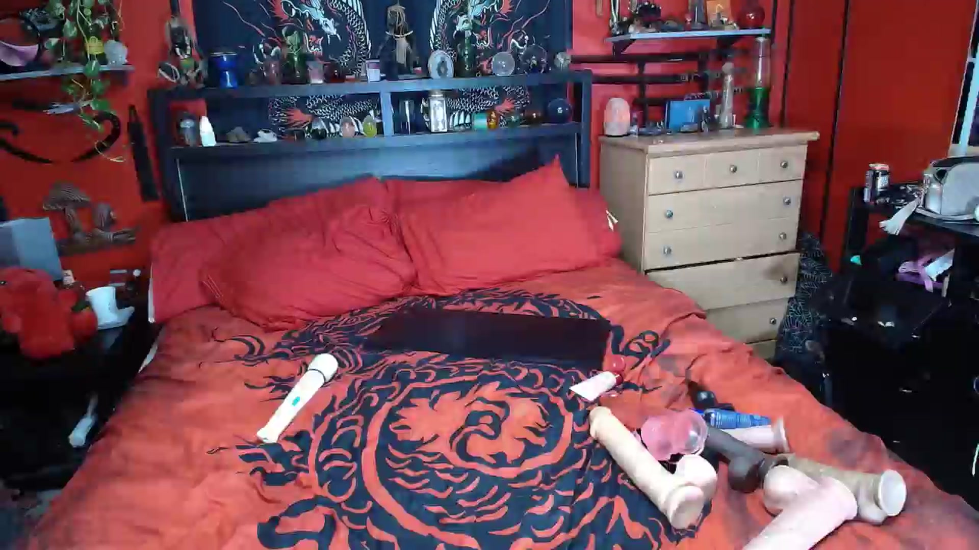Gallery image thumbnail from HollyHanna's myfreecams stream on, 03/07/2026, 22:27 image 19 of 20