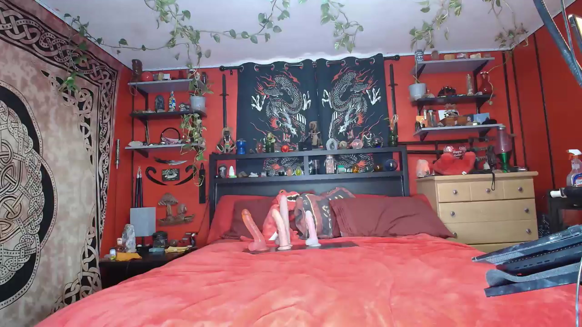 Gallery image thumbnail from HollyHanna's myfreecams stream on, 05/27/2026, 24:50 image 15 of 20