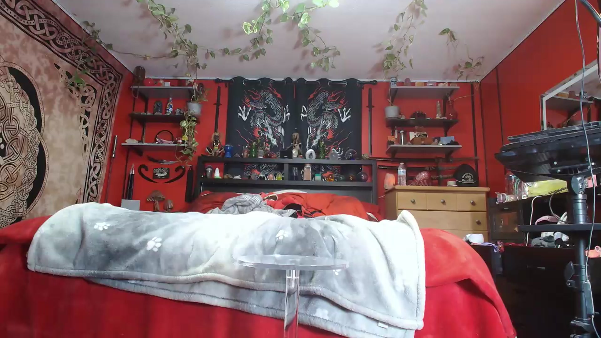 Gallery image thumbnail from HollyHanna's myfreecams stream on, 08/31/2026, 01:33 image 2 of 20