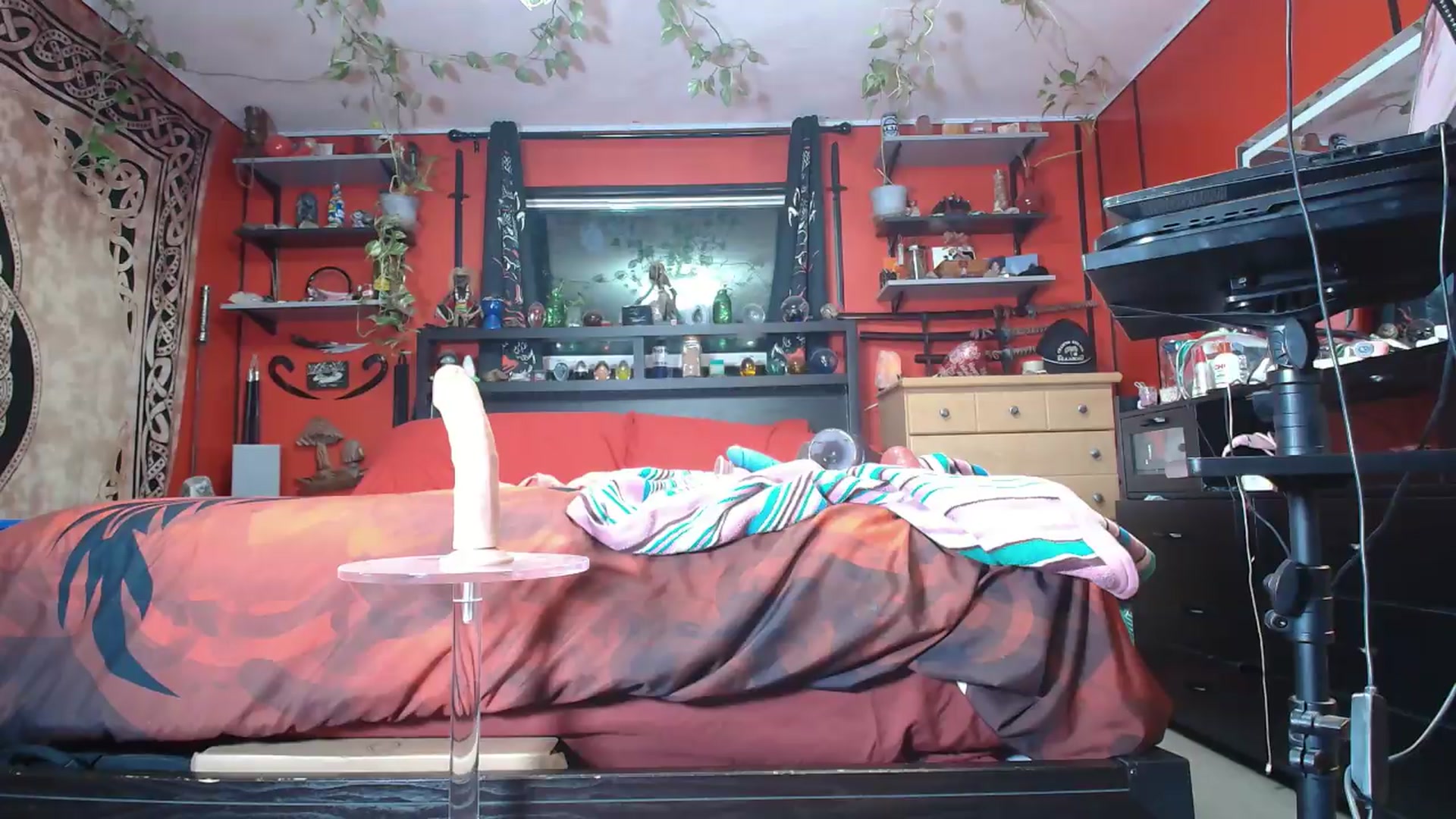 Gallery image thumbnail from HollyHanna's myfreecams stream on, 09/04/2026, 01:24 image 16 of 20