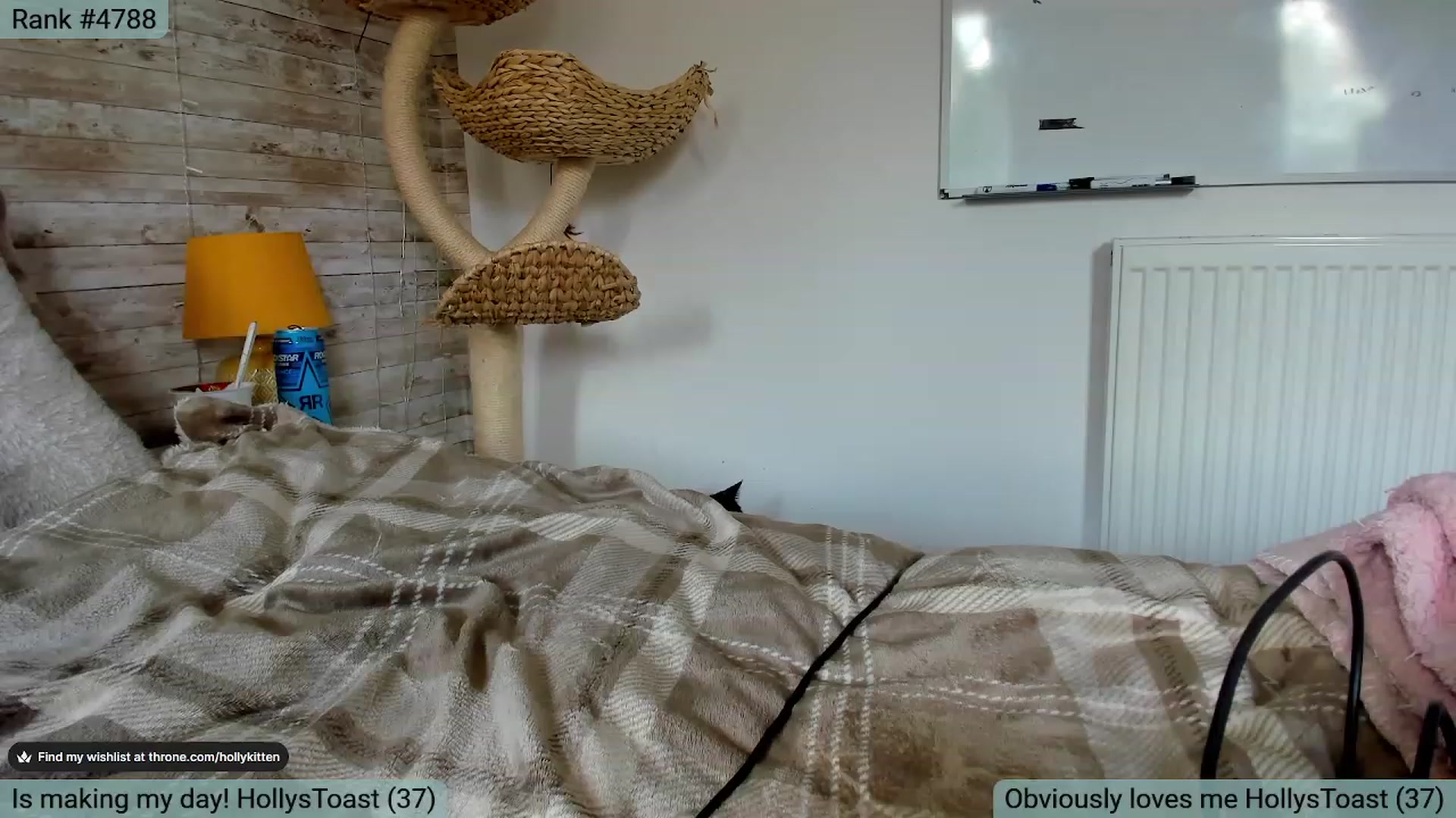 Gallery image thumbnail from HollyKittenn's myfreecams stream on, 05/04/2023, 16:15 image 7 of 20