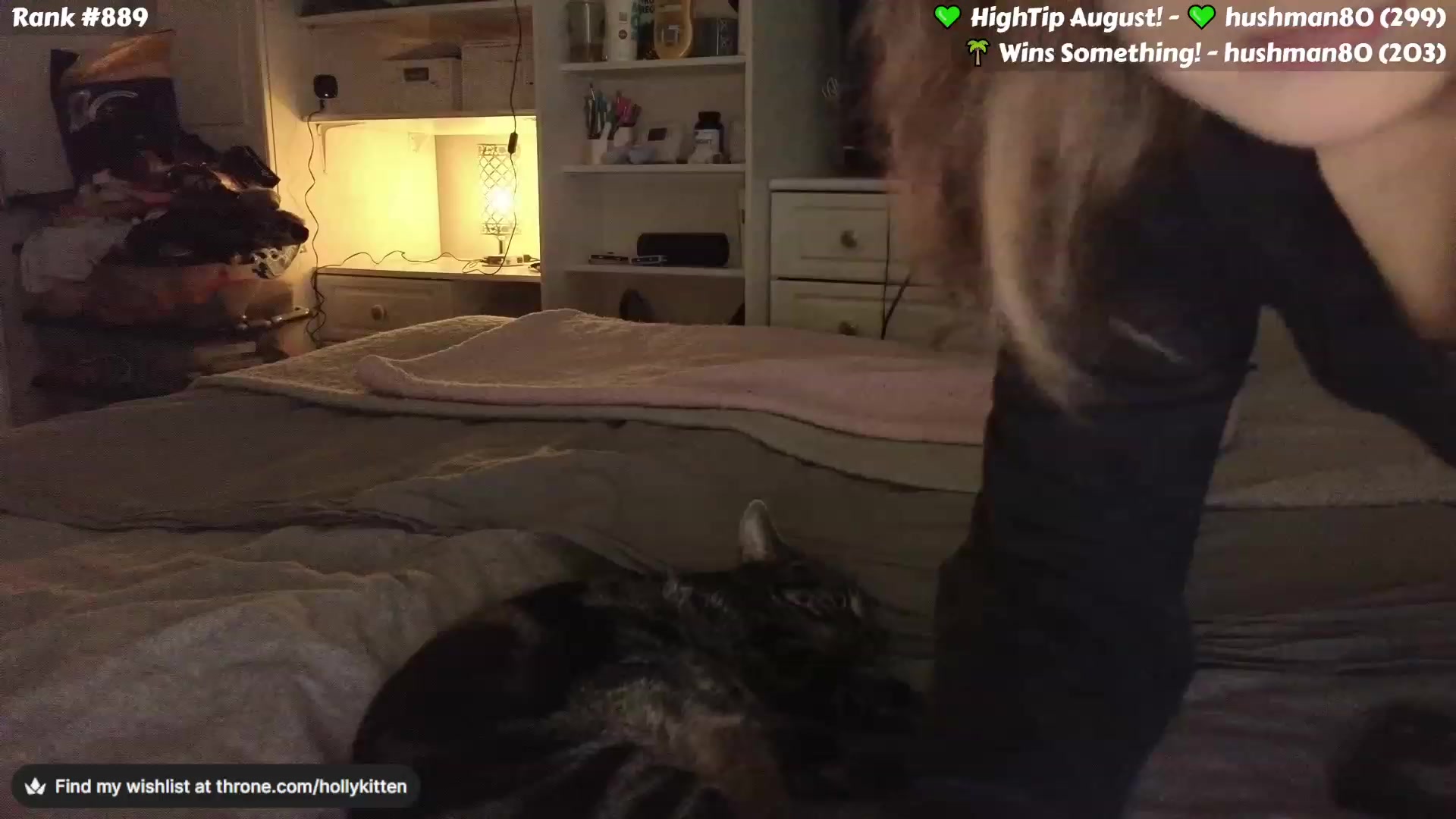 Gallery image thumbnail from HollyKittenn's myfreecams stream on, 08/03/2023, 19:07 image 9 of 20