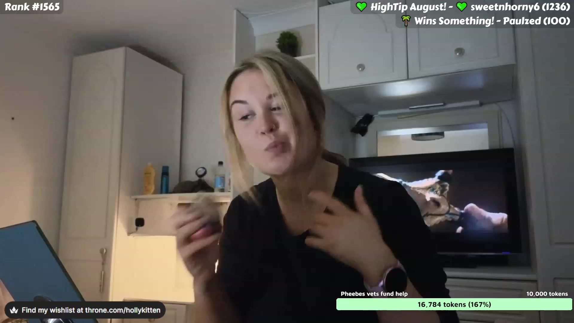 Gallery image thumbnail from HollyKittenn's myfreecams stream on, 08/16/2023, 18:45 image 1 of 20