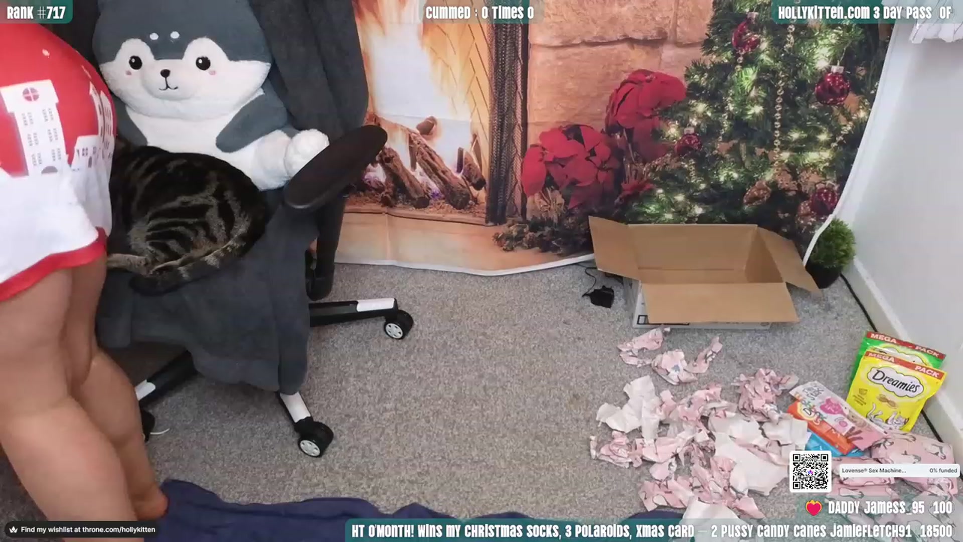 Gallery image thumbnail from HollyKittenn's myfreecams stream on, 12/18/2023, 16:01 image 15 of 20