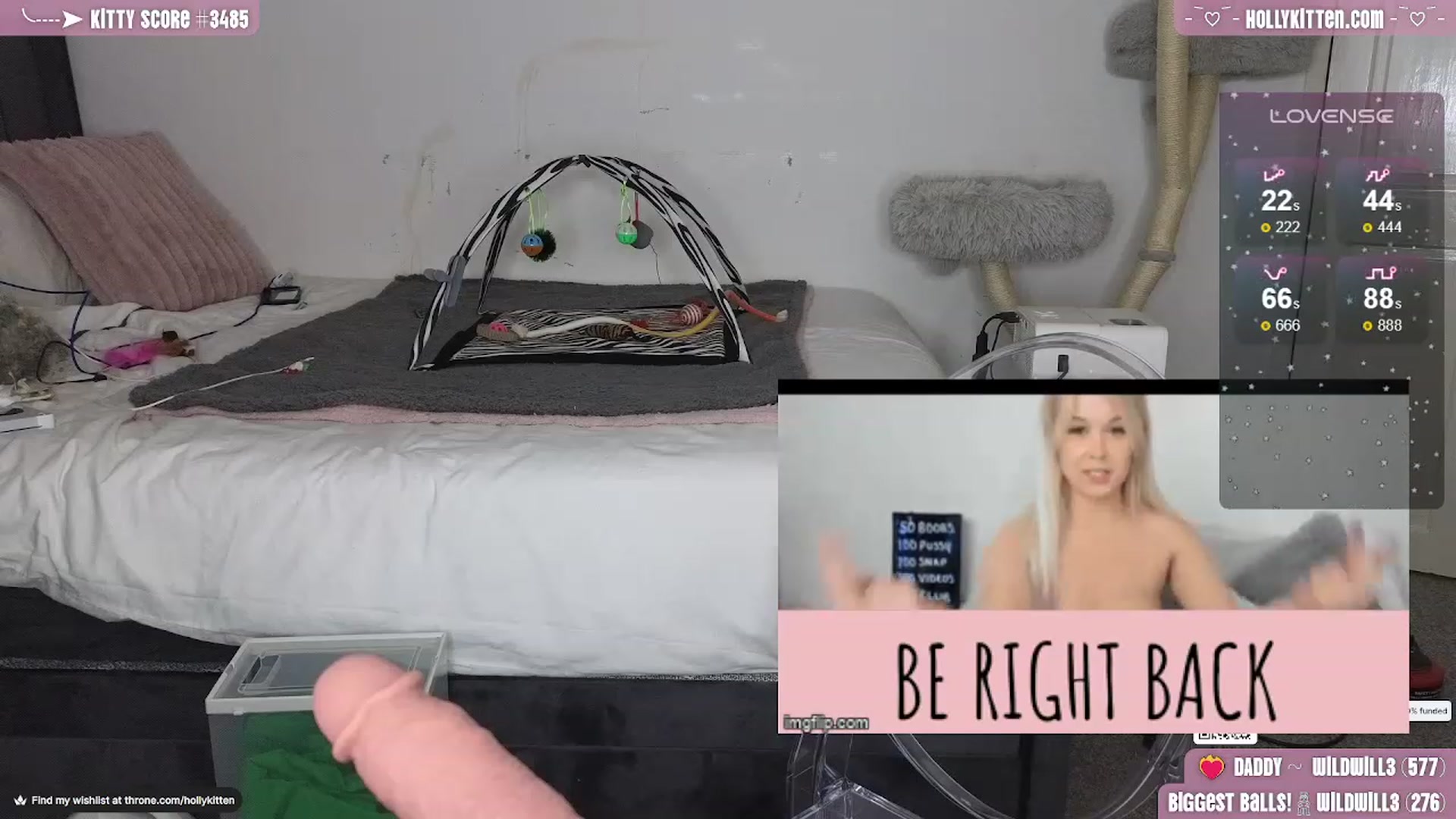 Gallery image thumbnail from HollyKittenn's myfreecams stream on, 01/16/2024, 18:41 image 6 of 20