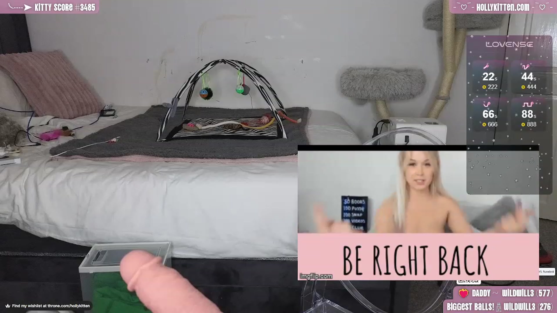 Gallery image thumbnail from HollyKittenn's myfreecams stream on, 01/16/2024, 18:41 image 7 of 20