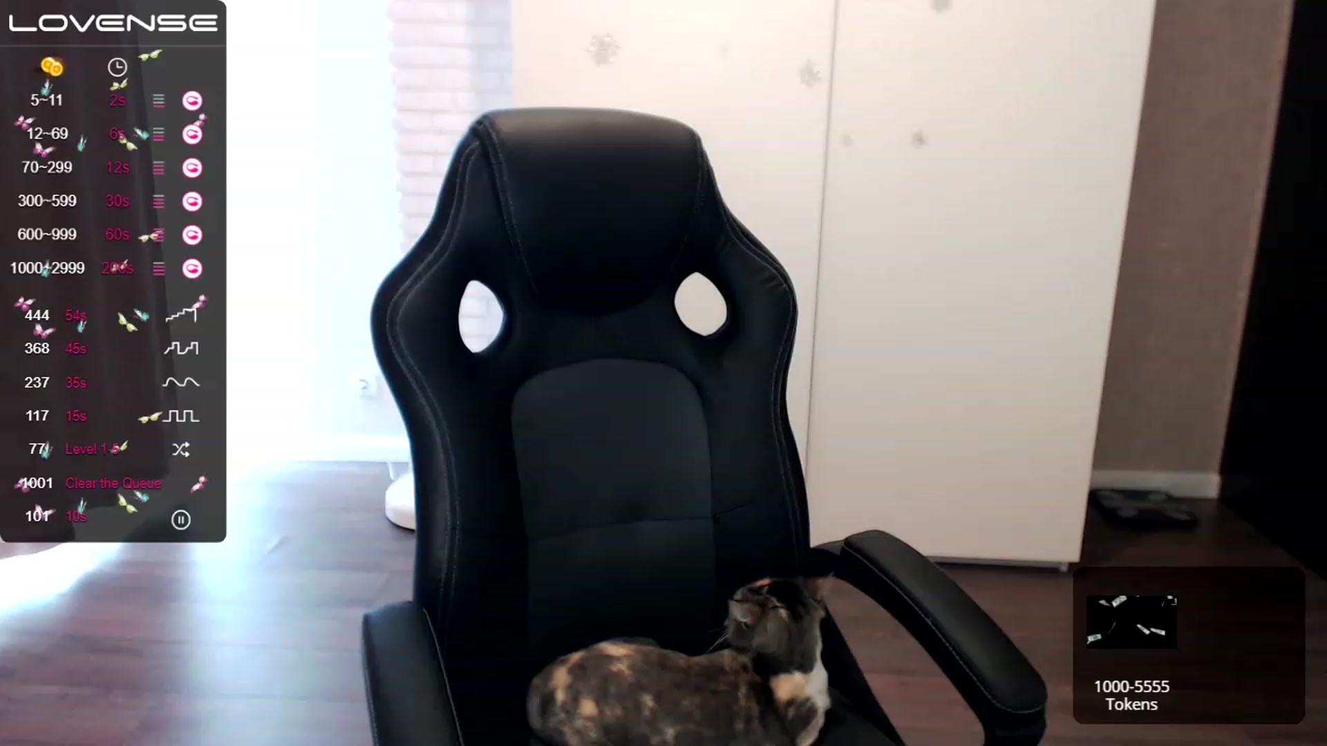 Gallery image thumbnail from HollyMollyy's myfreecams stream on, 03/01/2023, 13:11 image 8 of 20