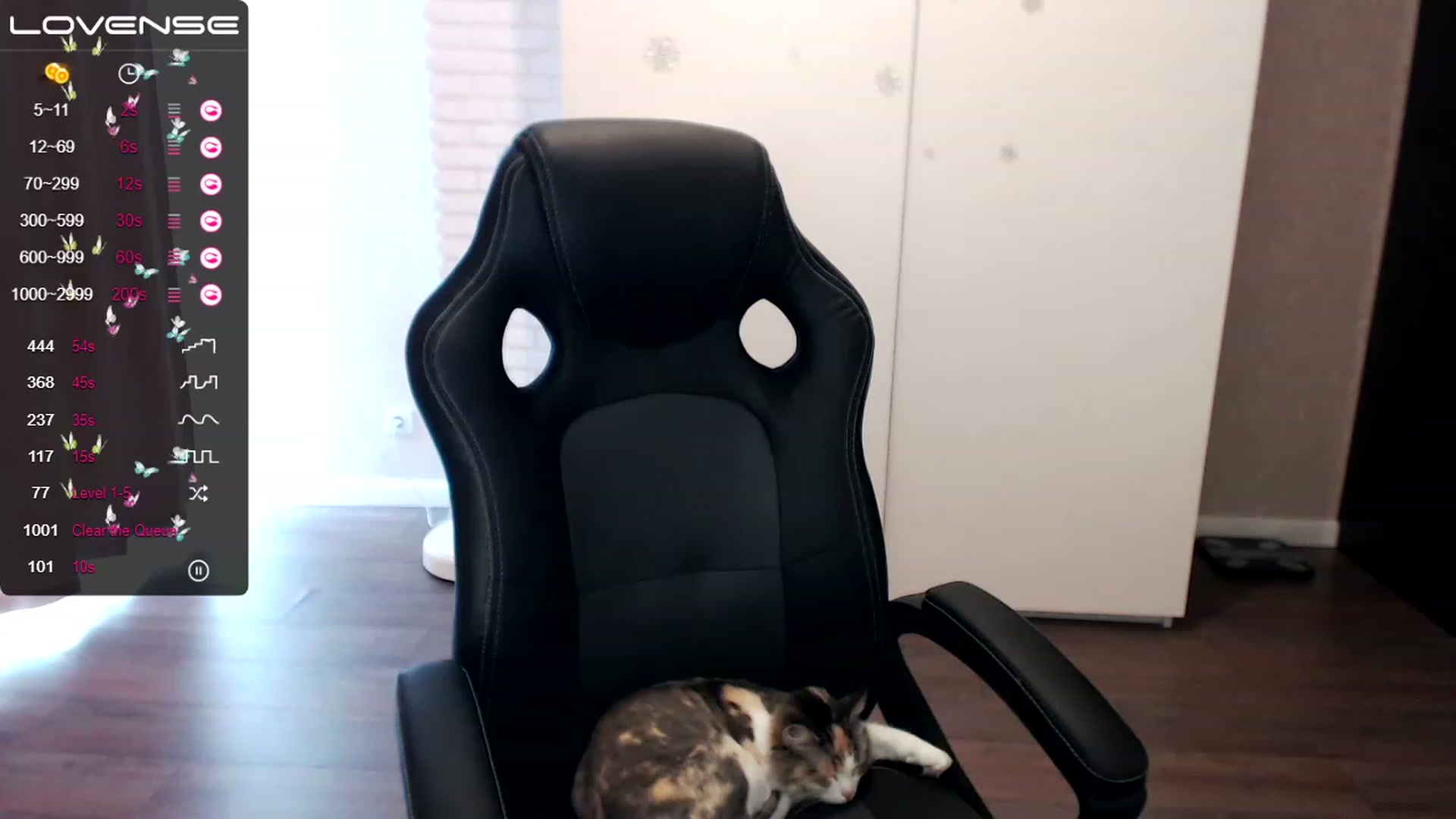 Gallery image thumbnail from HollyMollyy's myfreecams stream on, 03/01/2023, 13:11 image 11 of 20