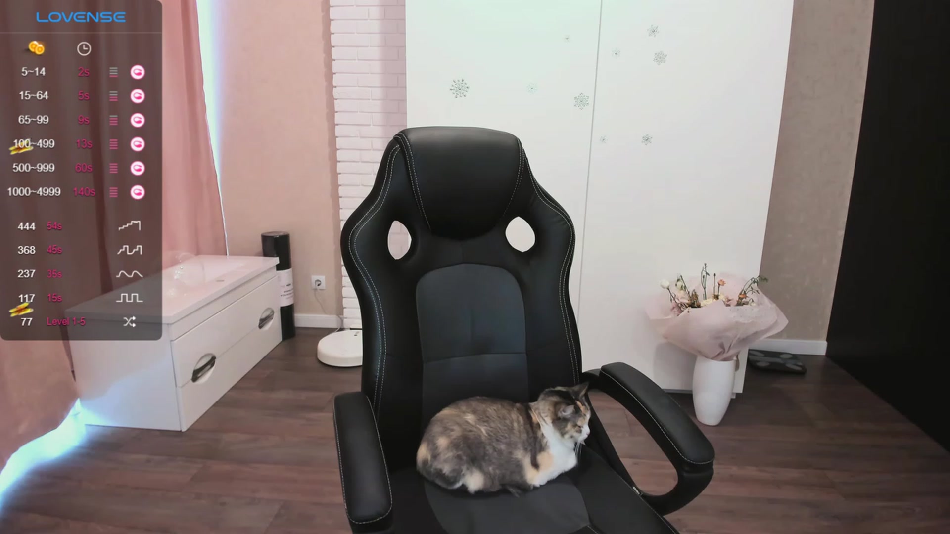 Gallery image thumbnail from HollyMollyy's myfreecams stream on, 10/11/2023, 13:50 image 11 of 20