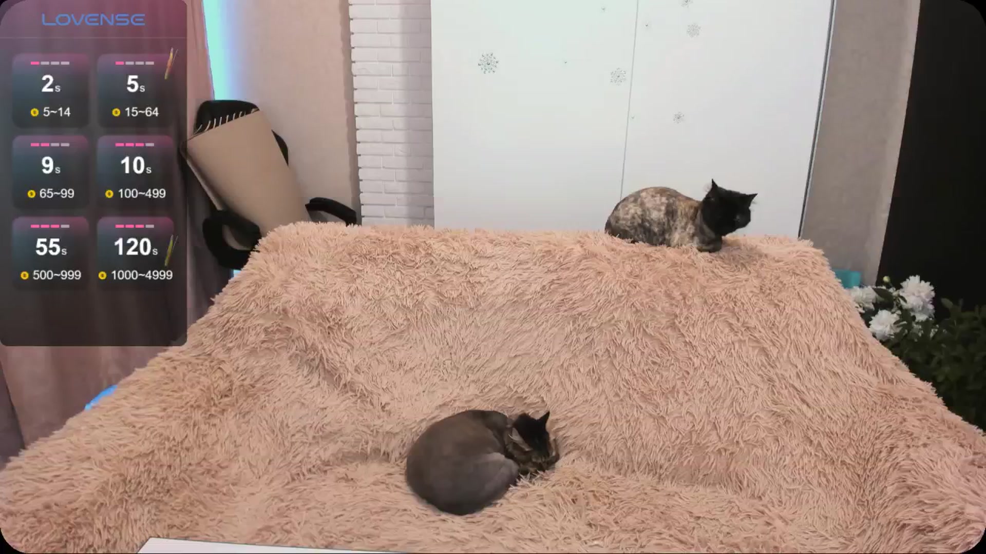 Gallery image thumbnail from HollyMollyy's myfreecams stream on, 06/09/2024, 18:42 image 3 of 20