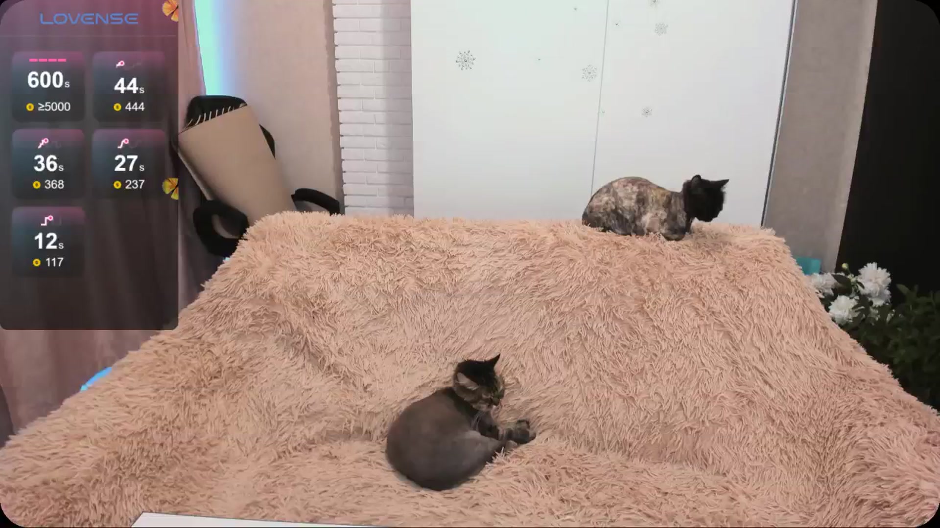 Gallery image thumbnail from HollyMollyy's myfreecams stream on, 06/09/2024, 18:42 image 2 of 20